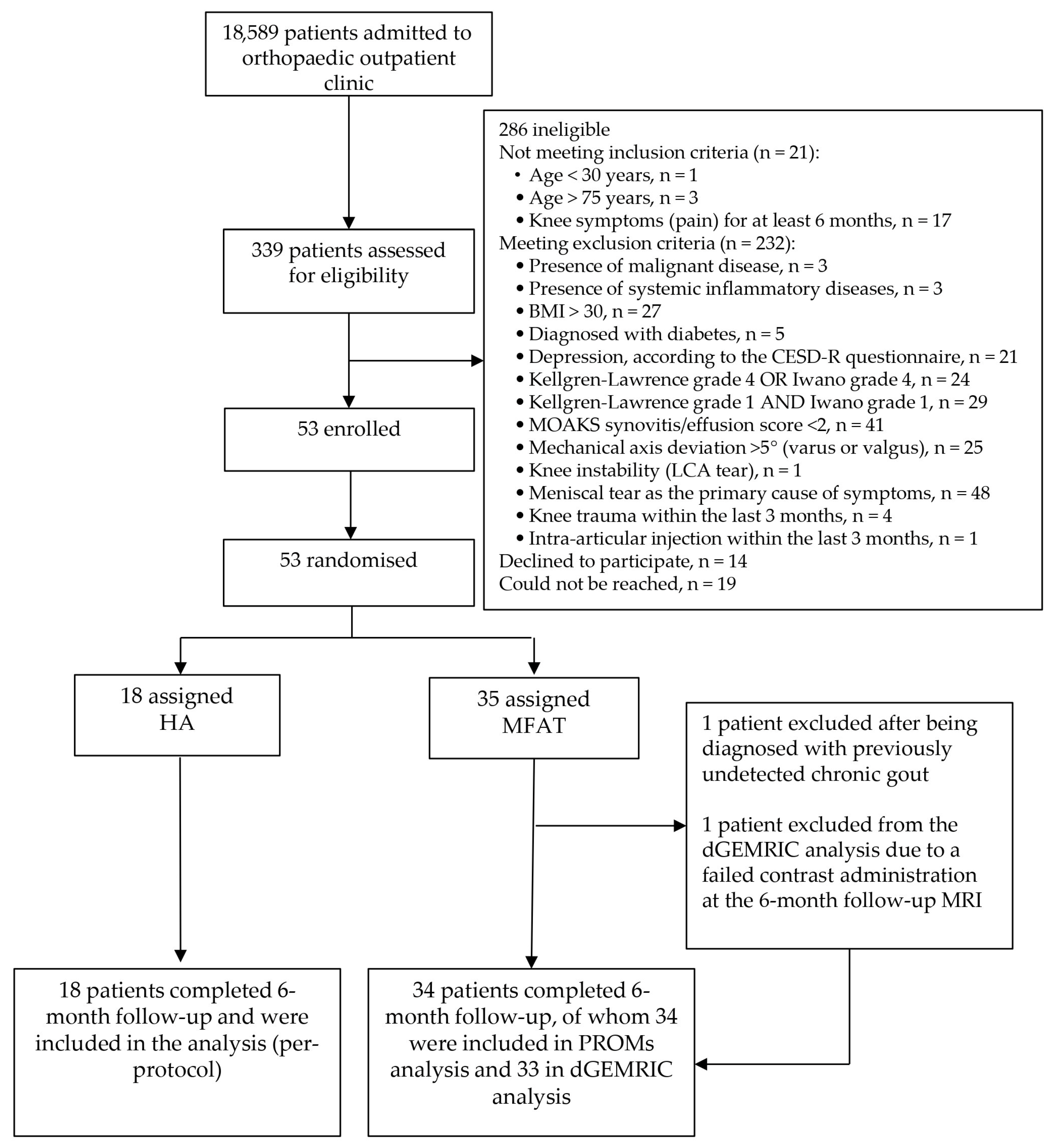 Biomedicines 13 02301 g001