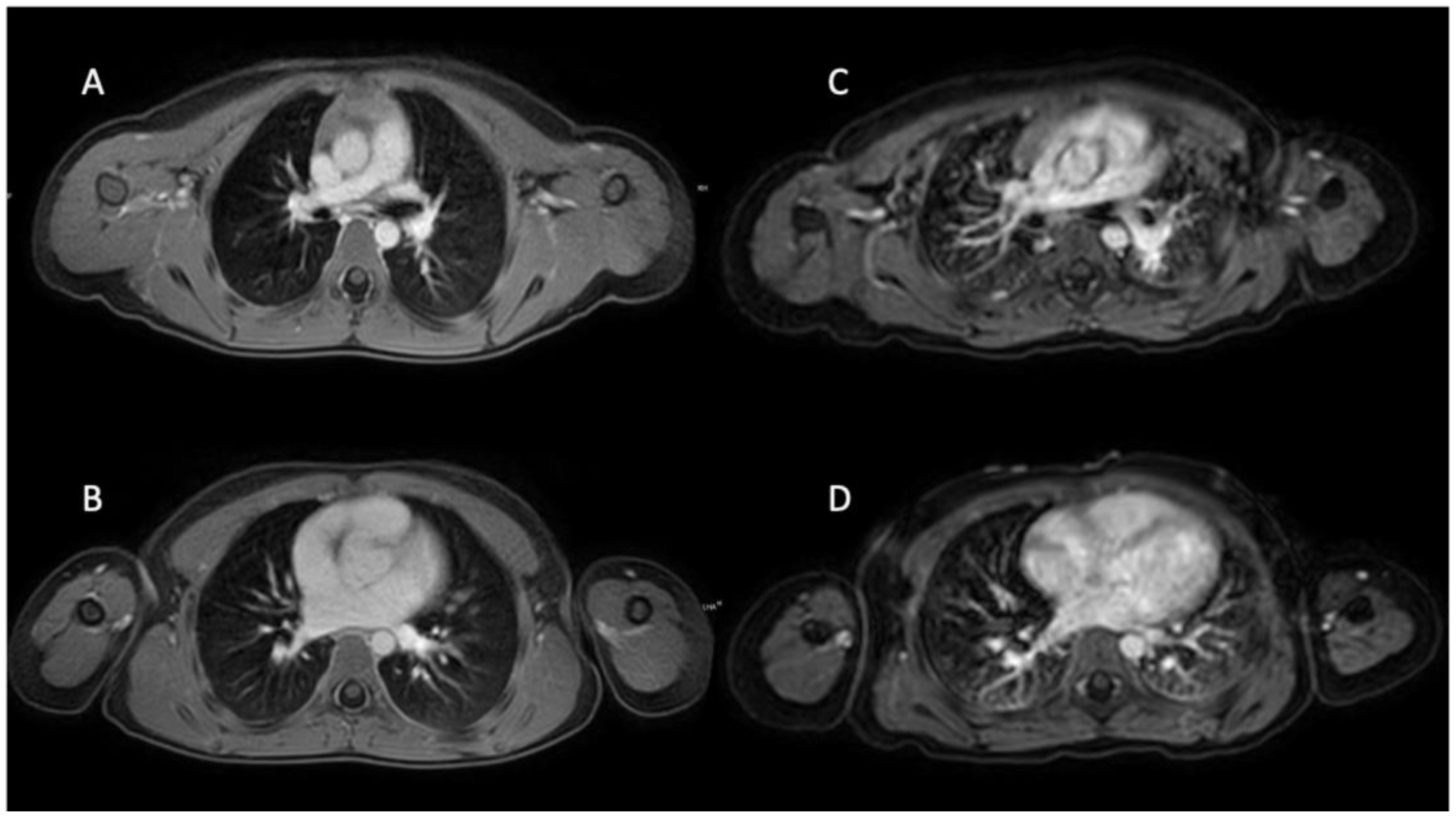 Biomedicines 13 02302 g003