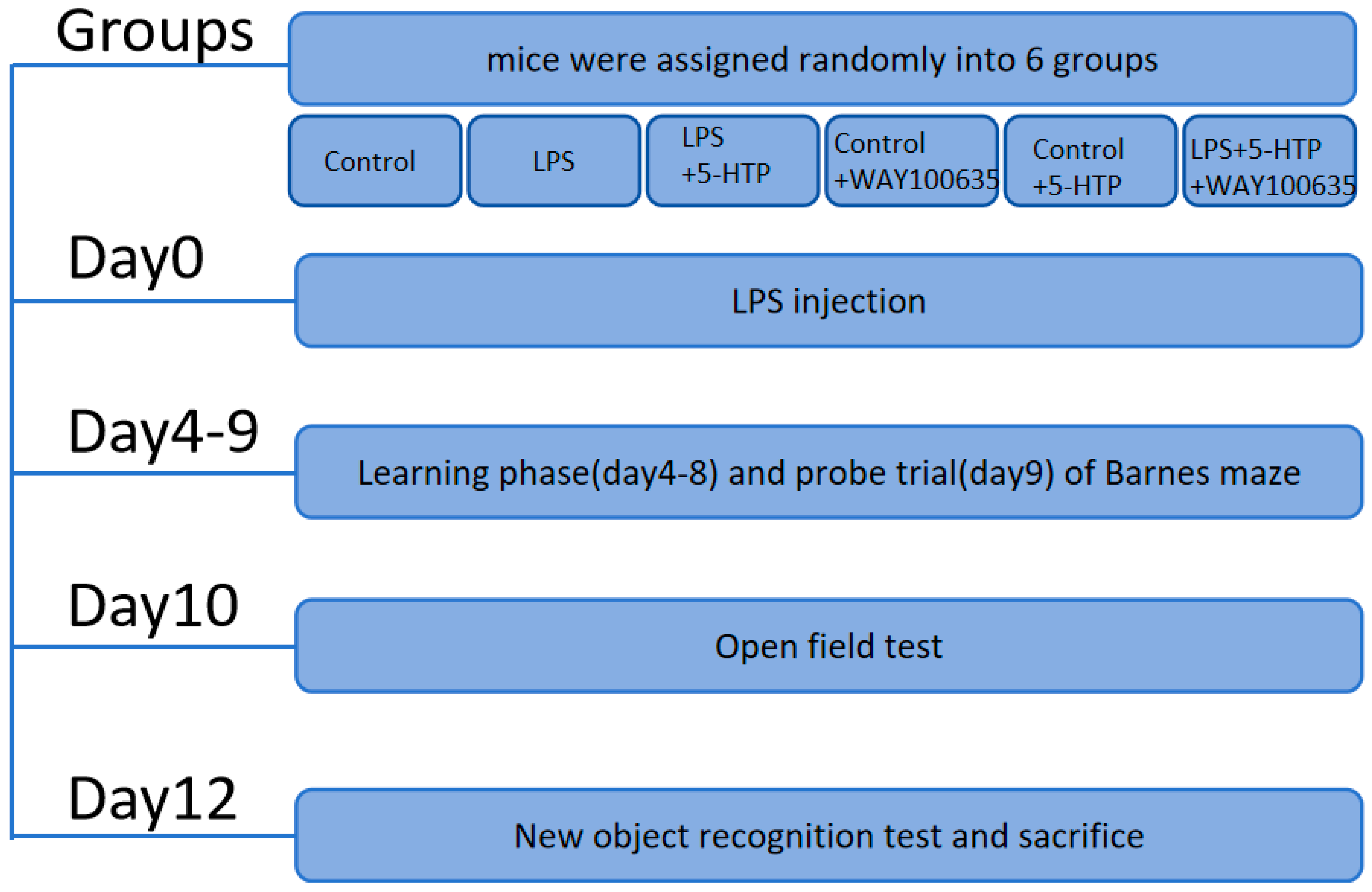 Biomedicines 13 02319 g001