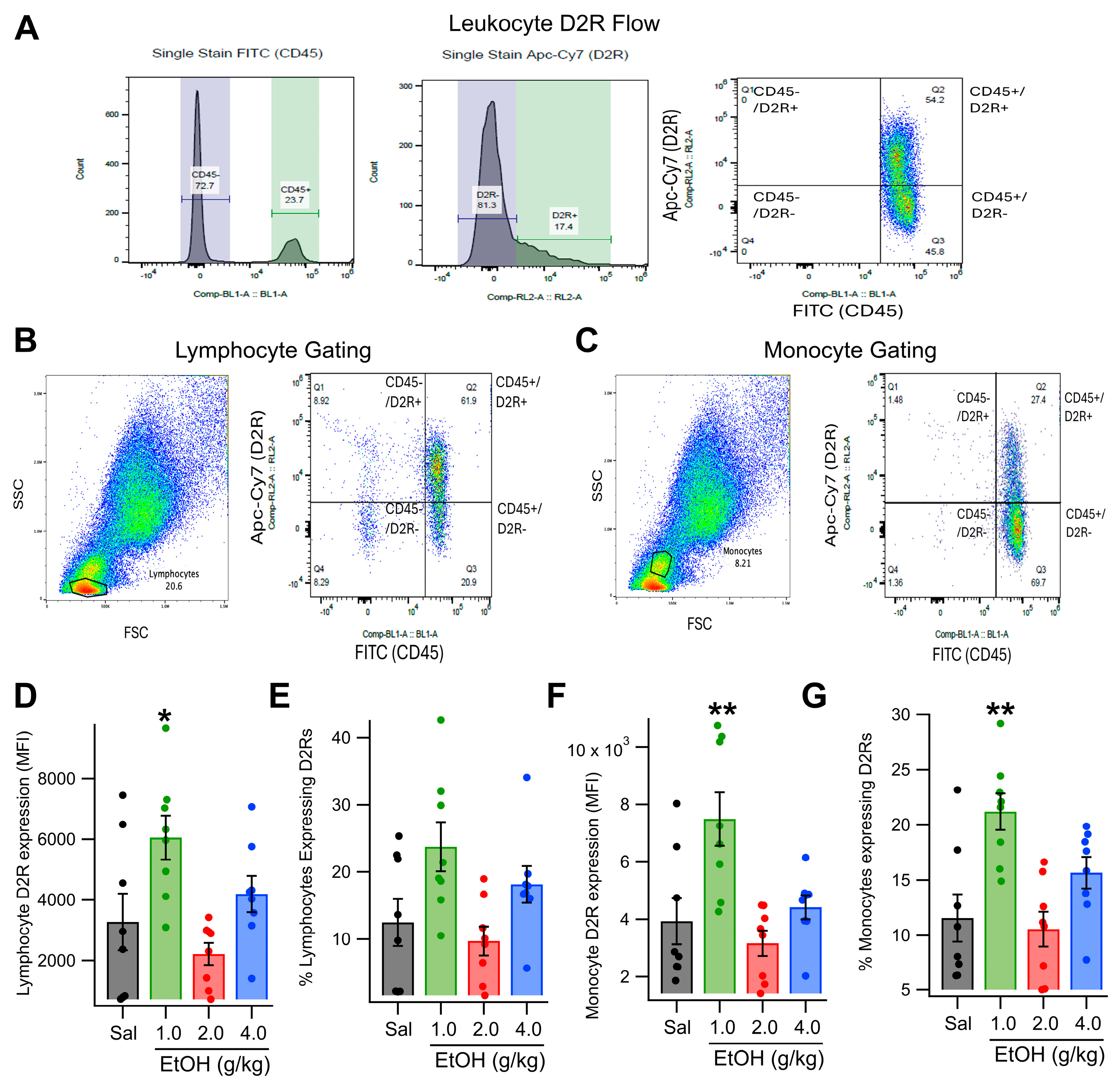 Biomedicines 13 02327 g001