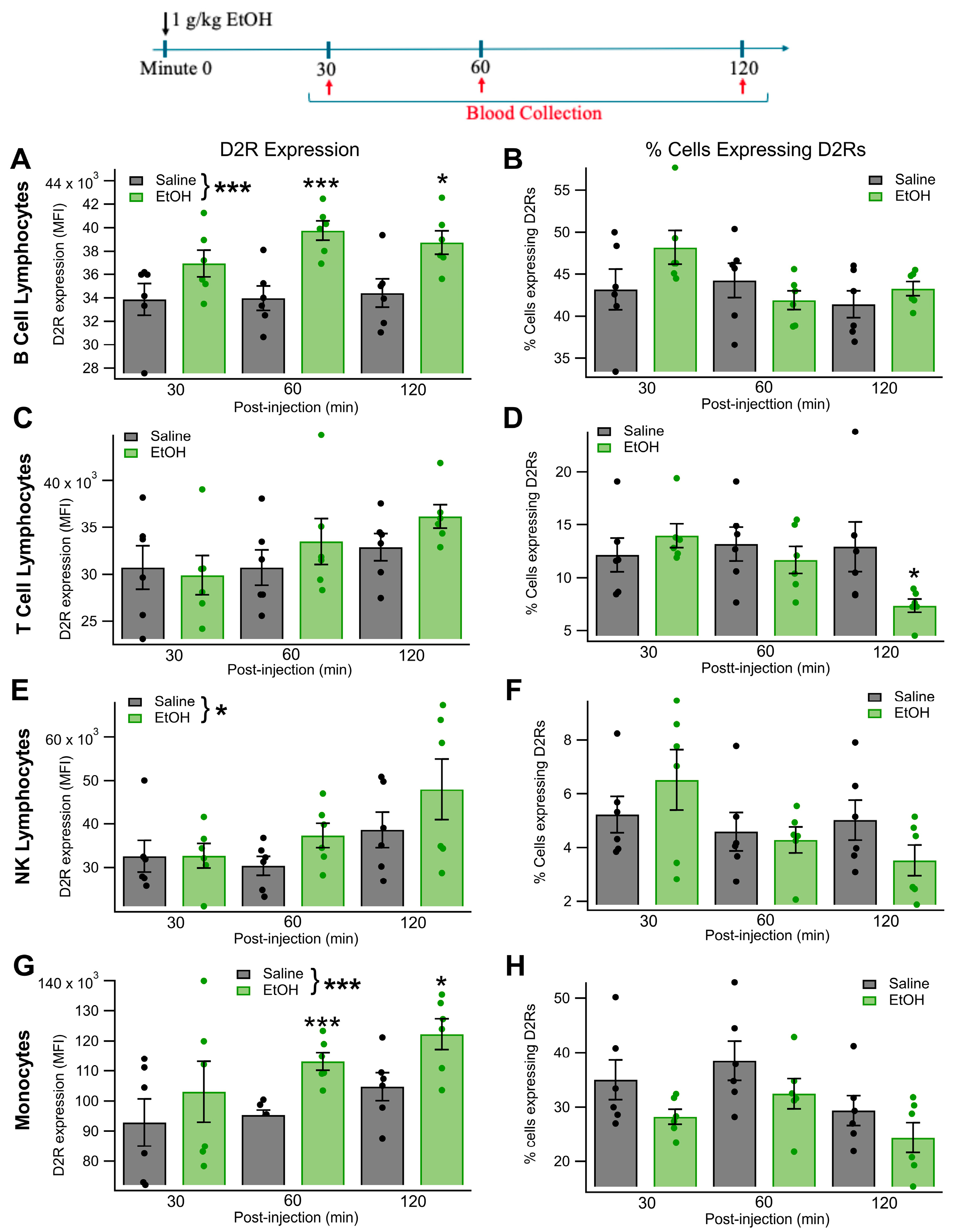 Biomedicines 13 02327 g002