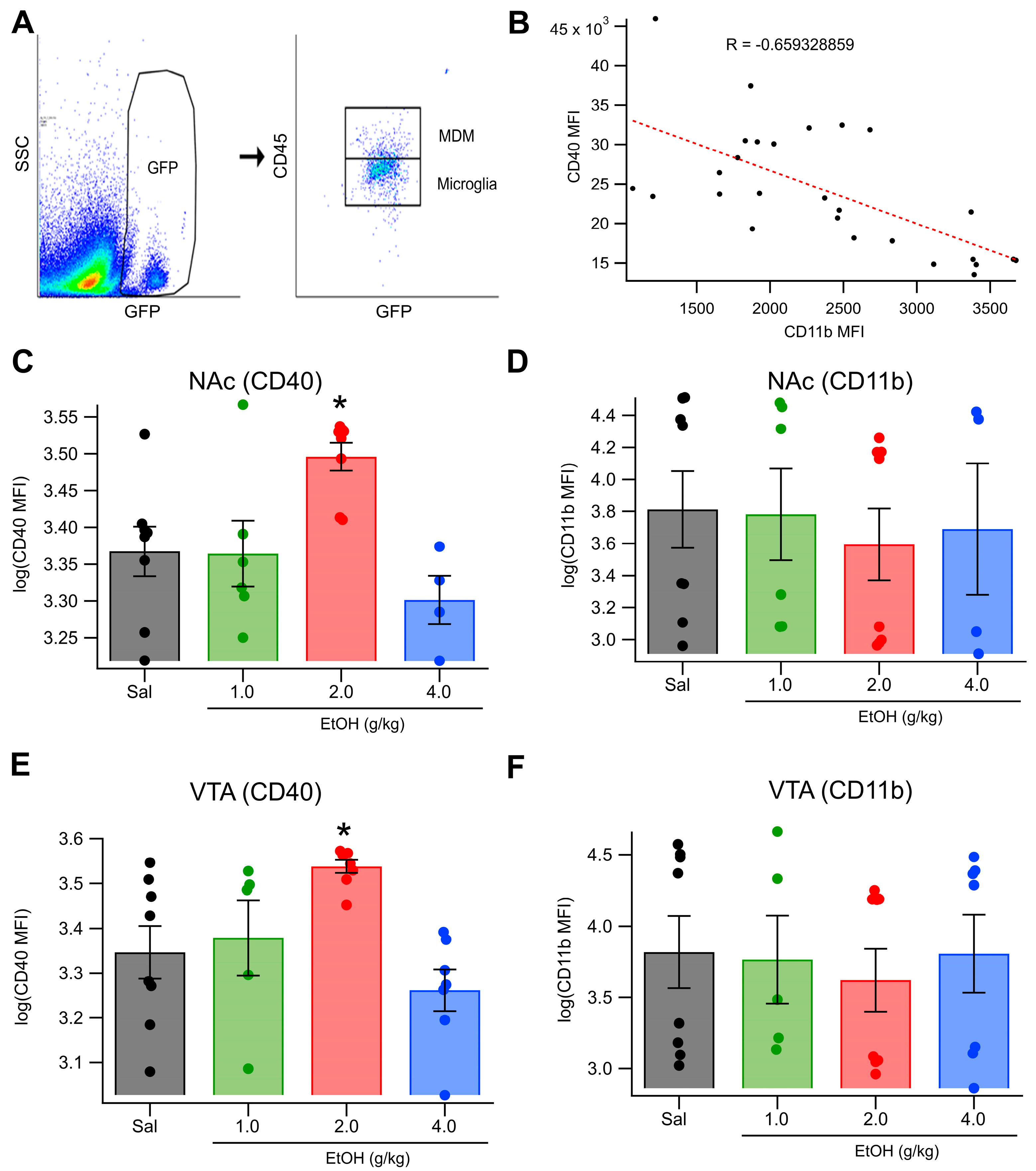 Biomedicines 13 02327 g006
