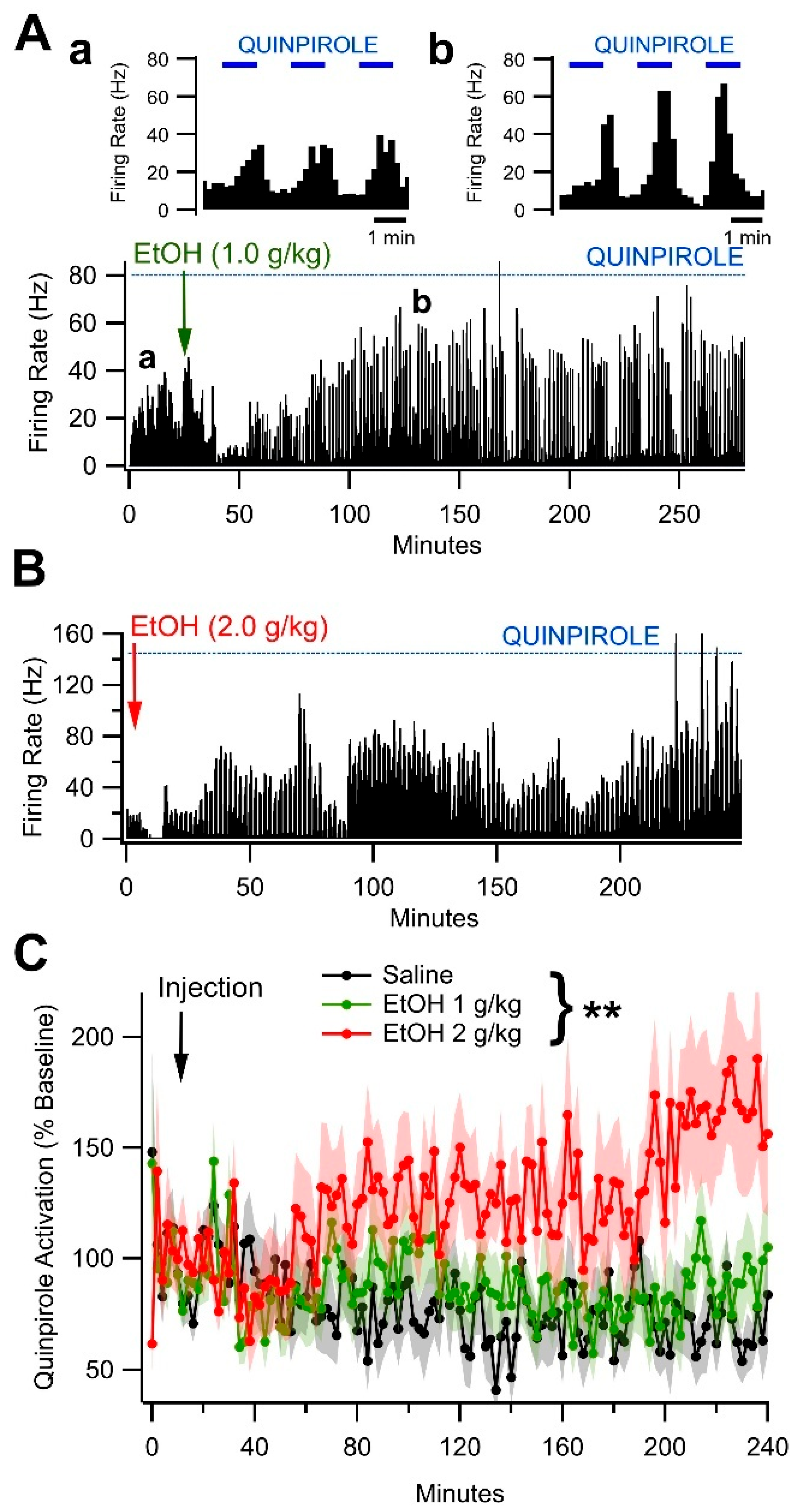 Biomedicines 13 02327 g007