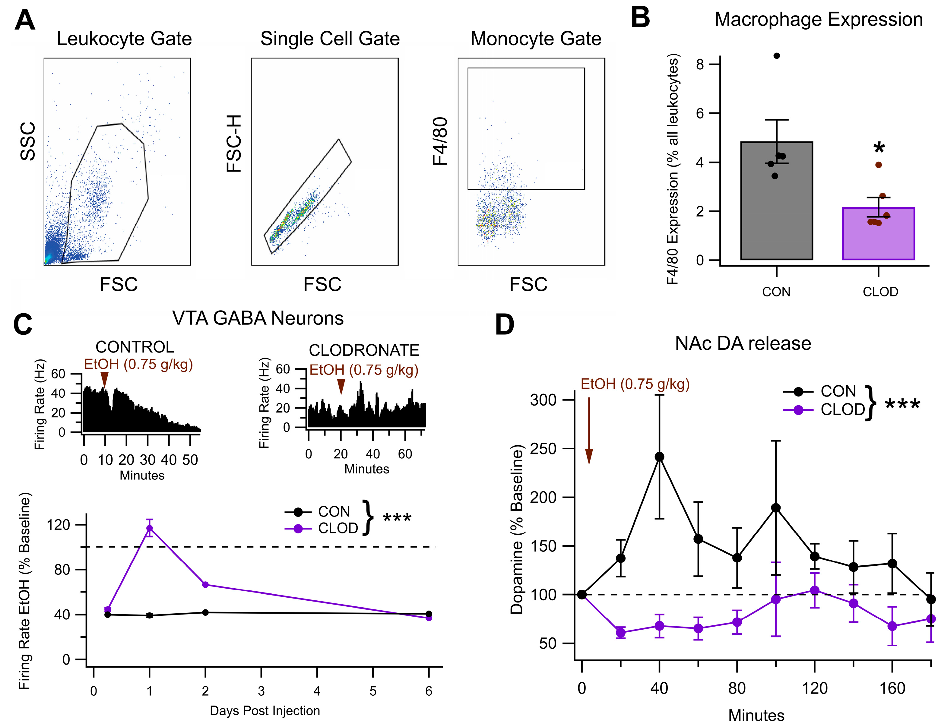 Biomedicines 13 02327 g008