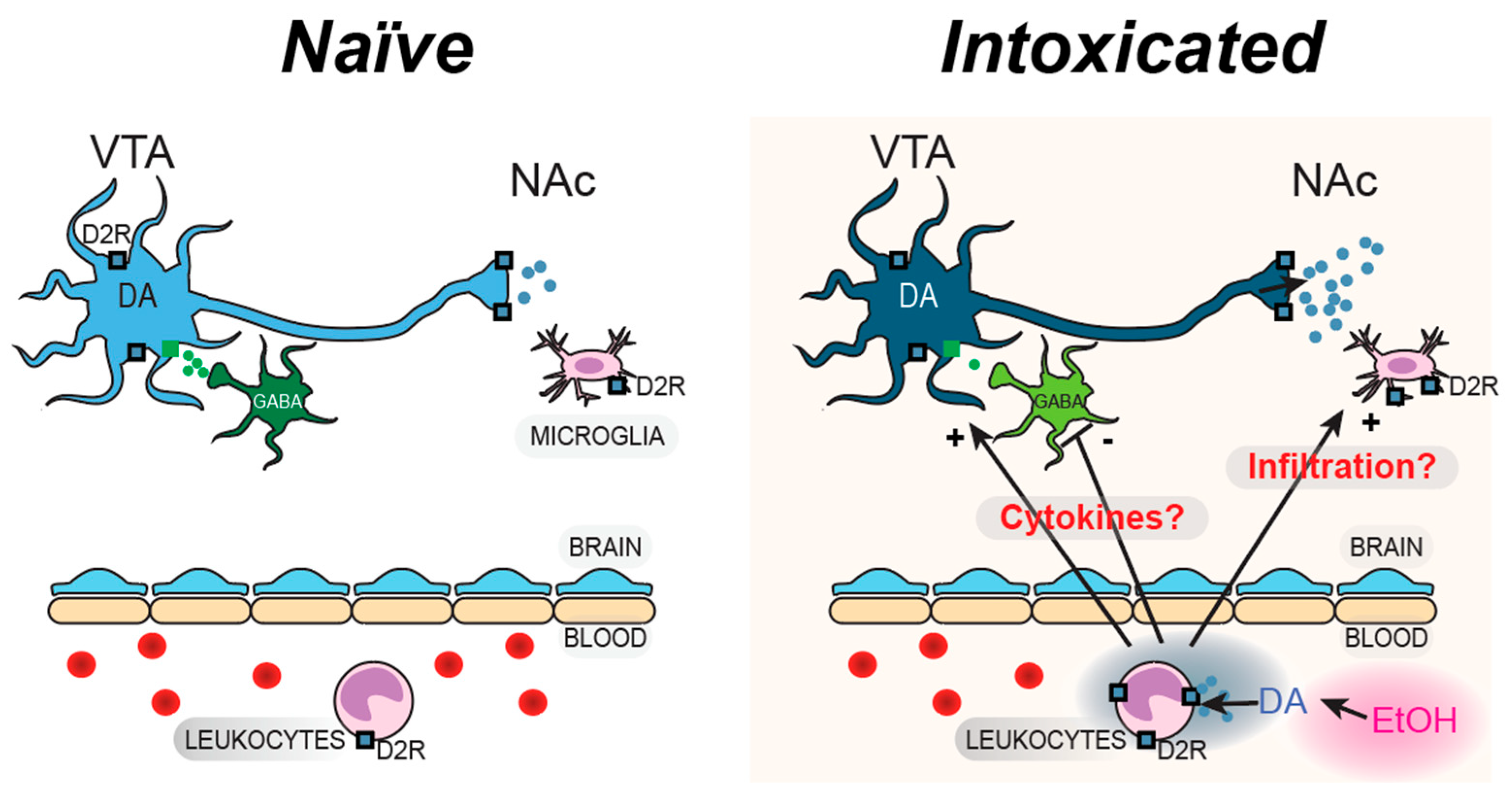Biomedicines 13 02327 g010