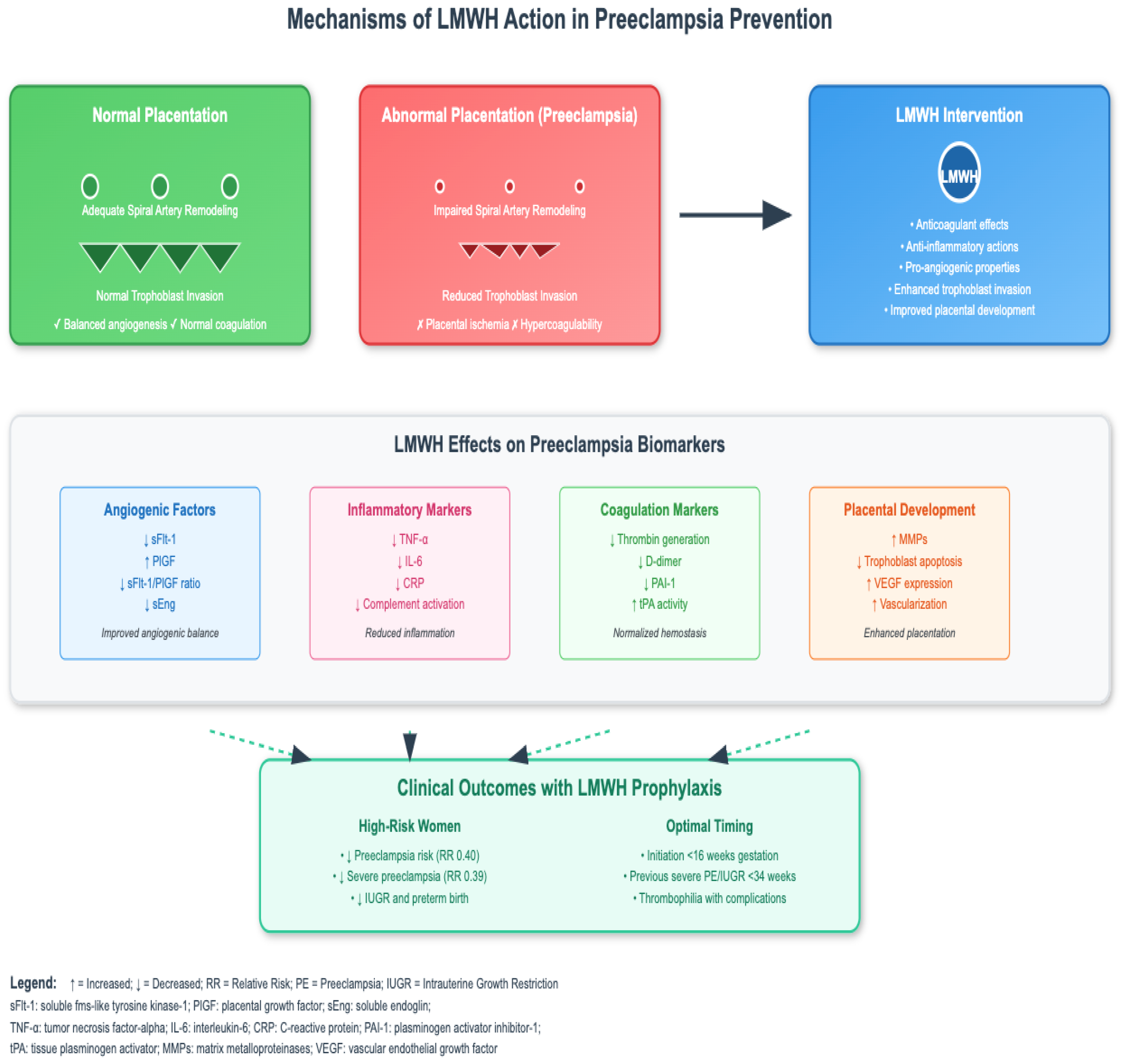 Biomedicines 13 02337 g001 Biomedicines 13 02337 g001