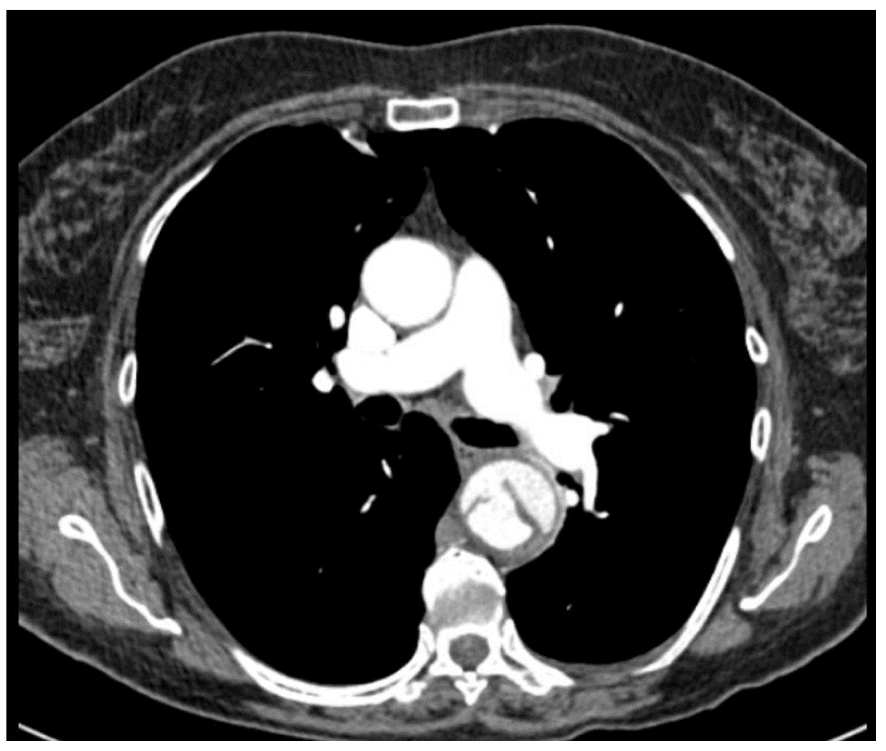 Biomedicines 13 02338 g001