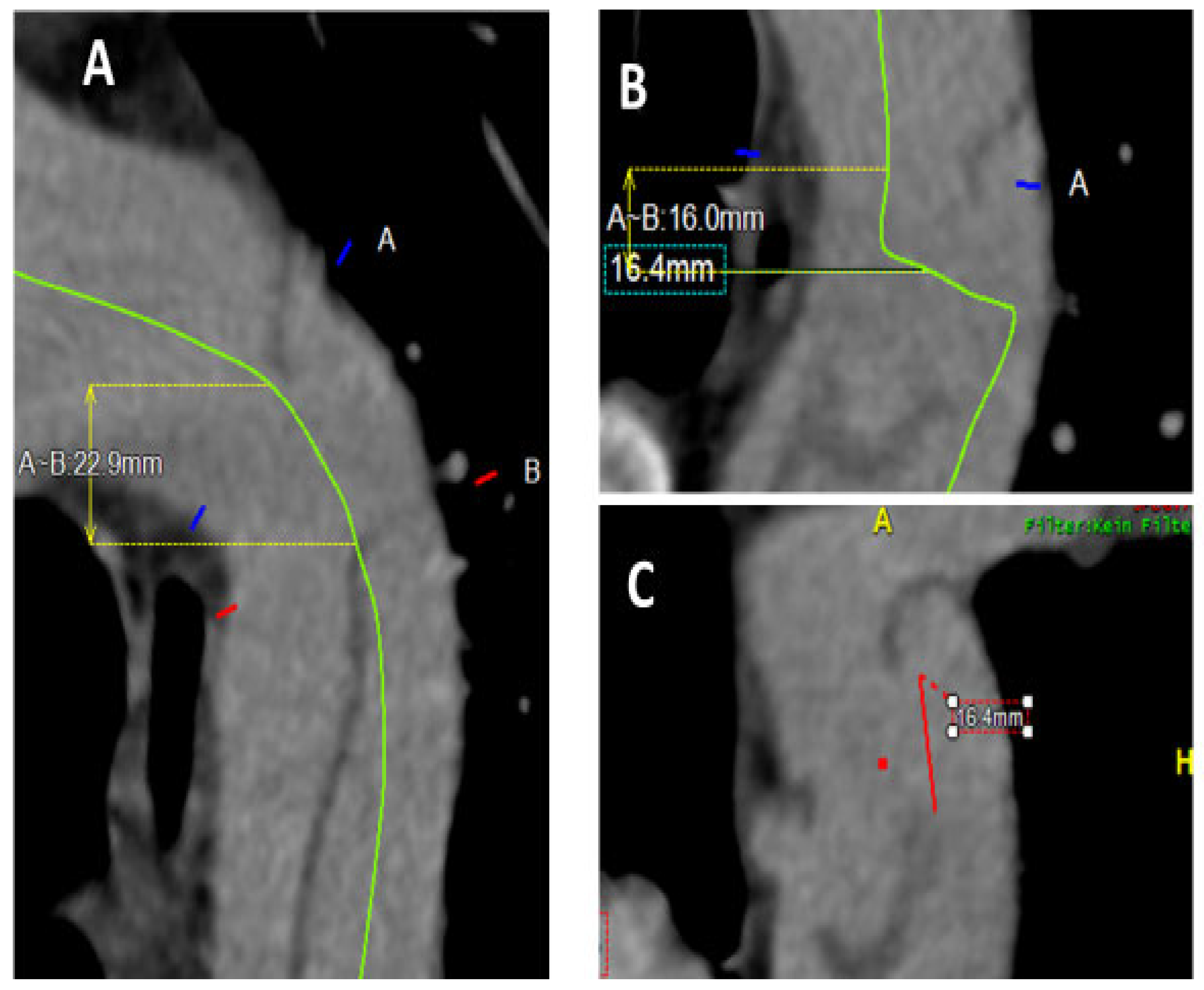 Biomedicines 13 02338 g002