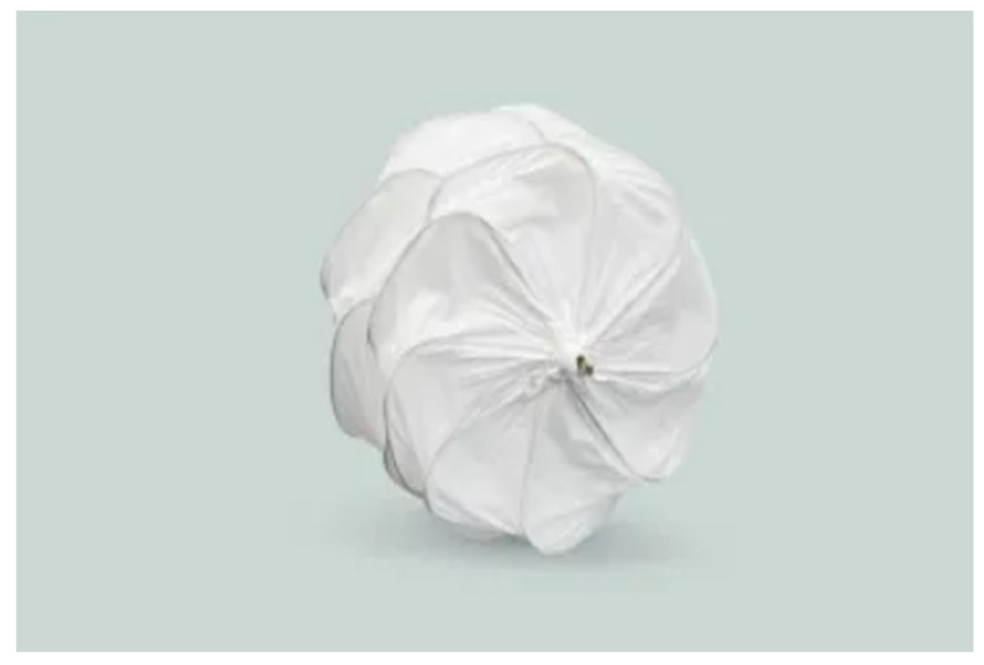 Biomedicines 13 02338 g003