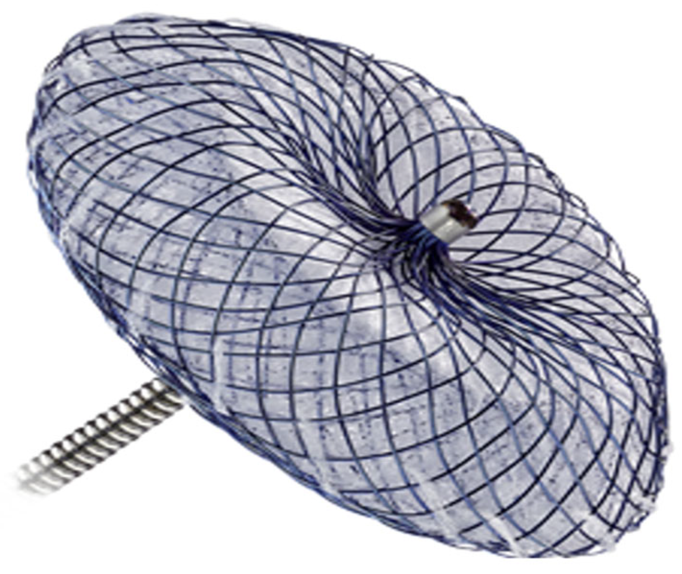 Biomedicines 13 02338 g005