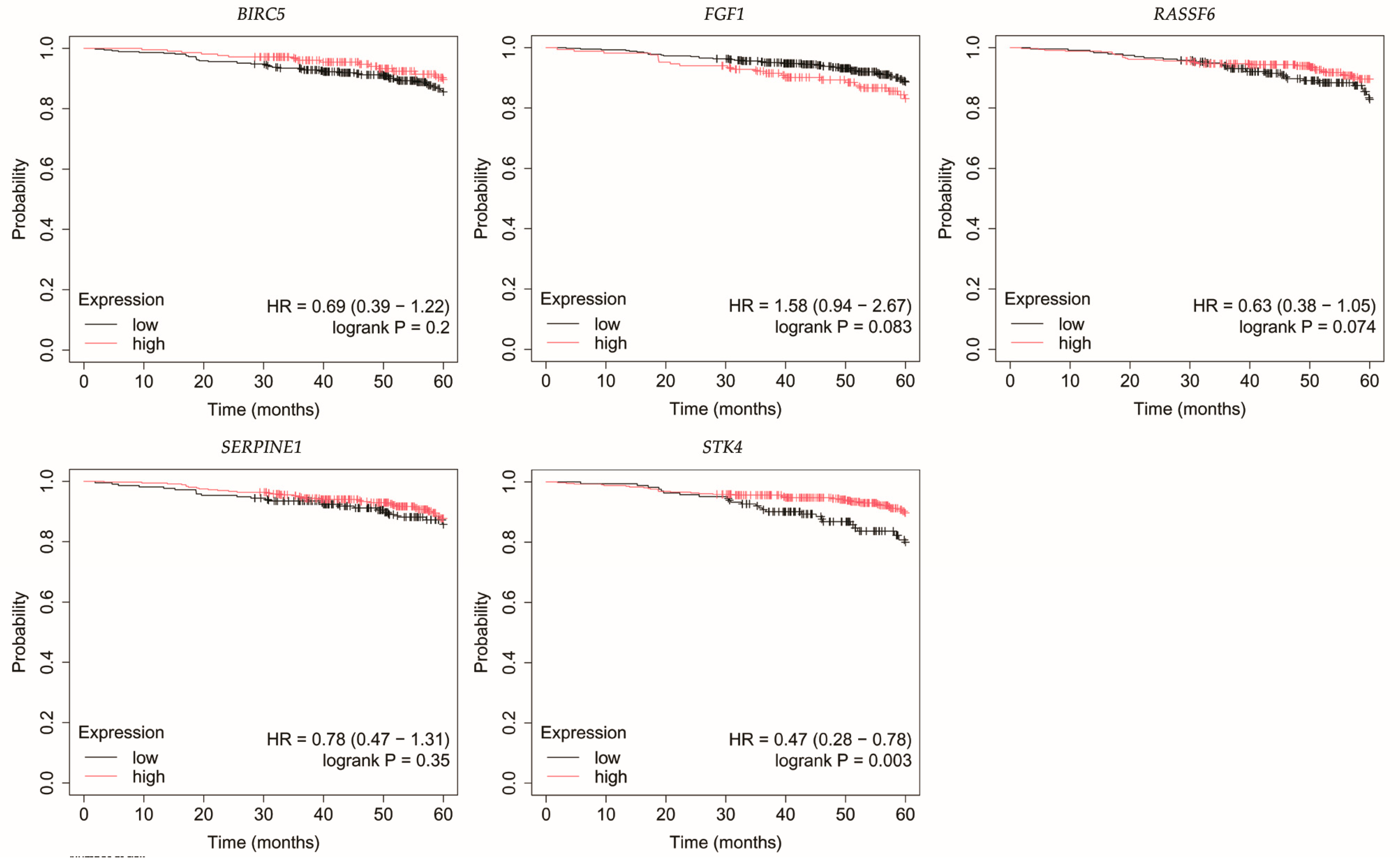 Biomedicines 13 02342 g004