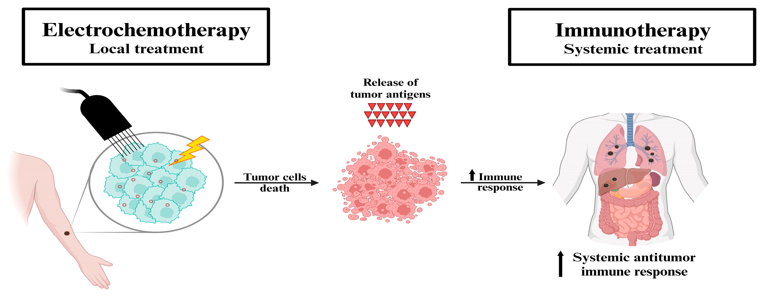 Biomedicines 13 02345 g001