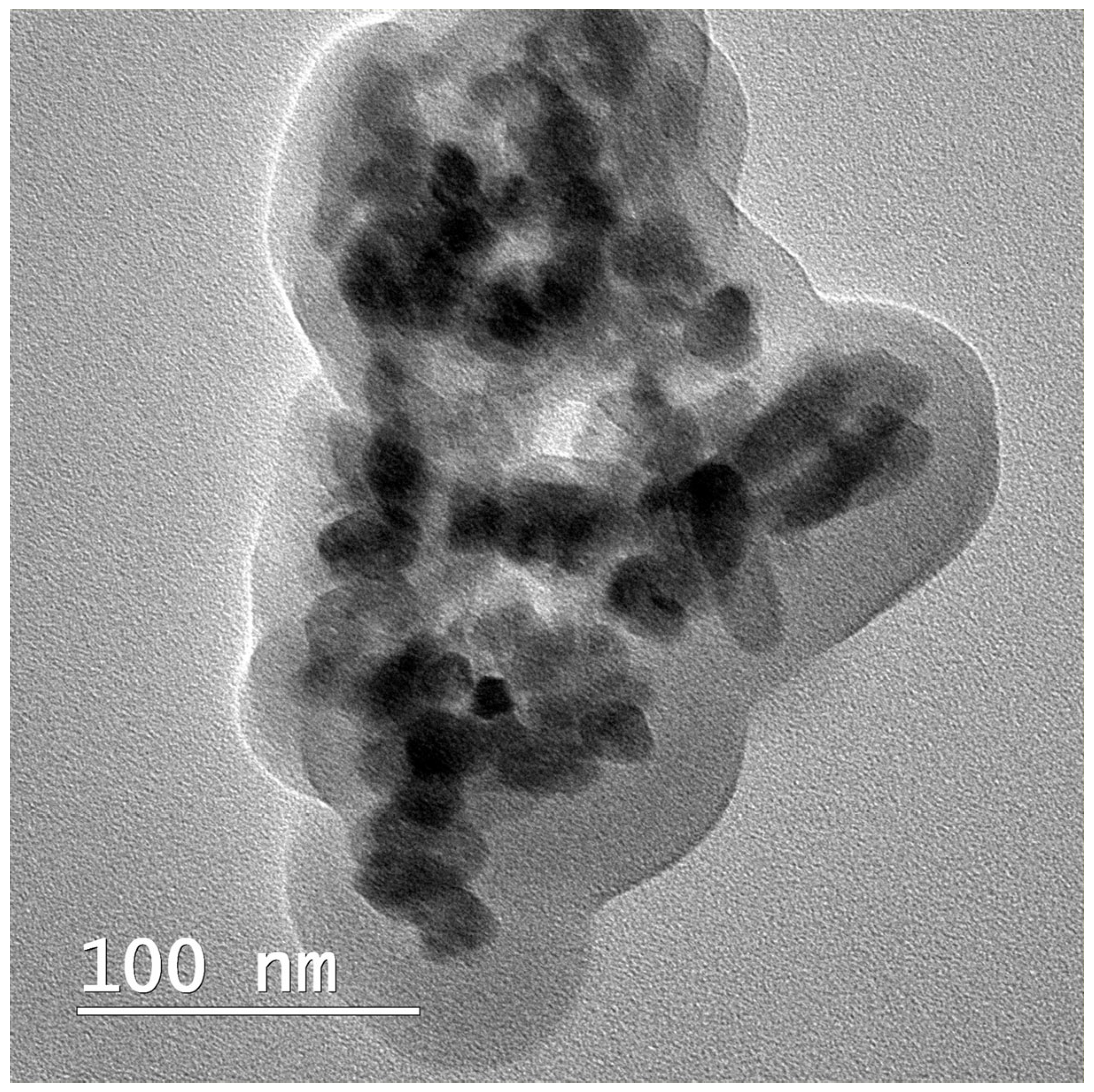 Biomedicines 13 02349 g003