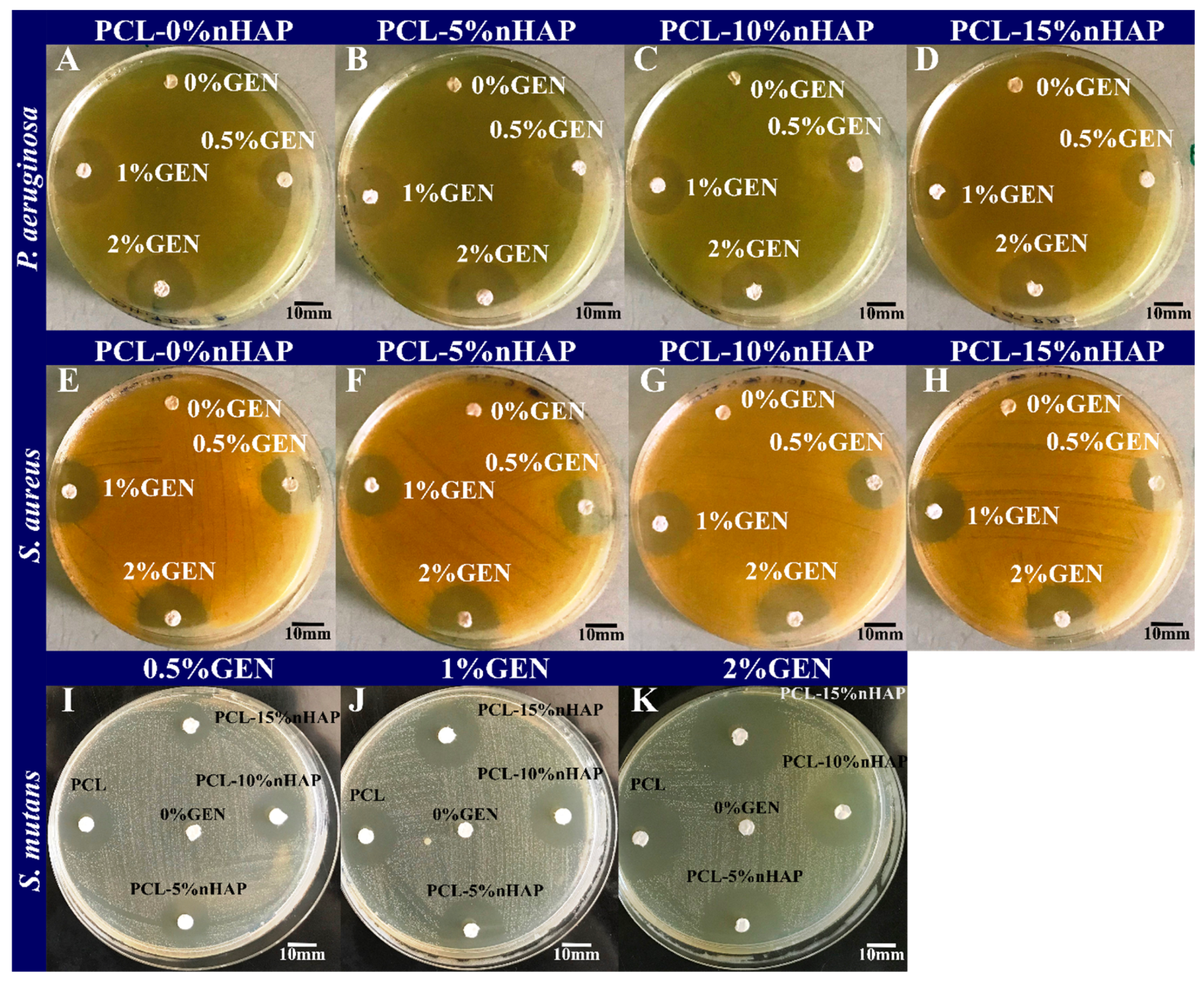 Biomedicines 13 02349 g008