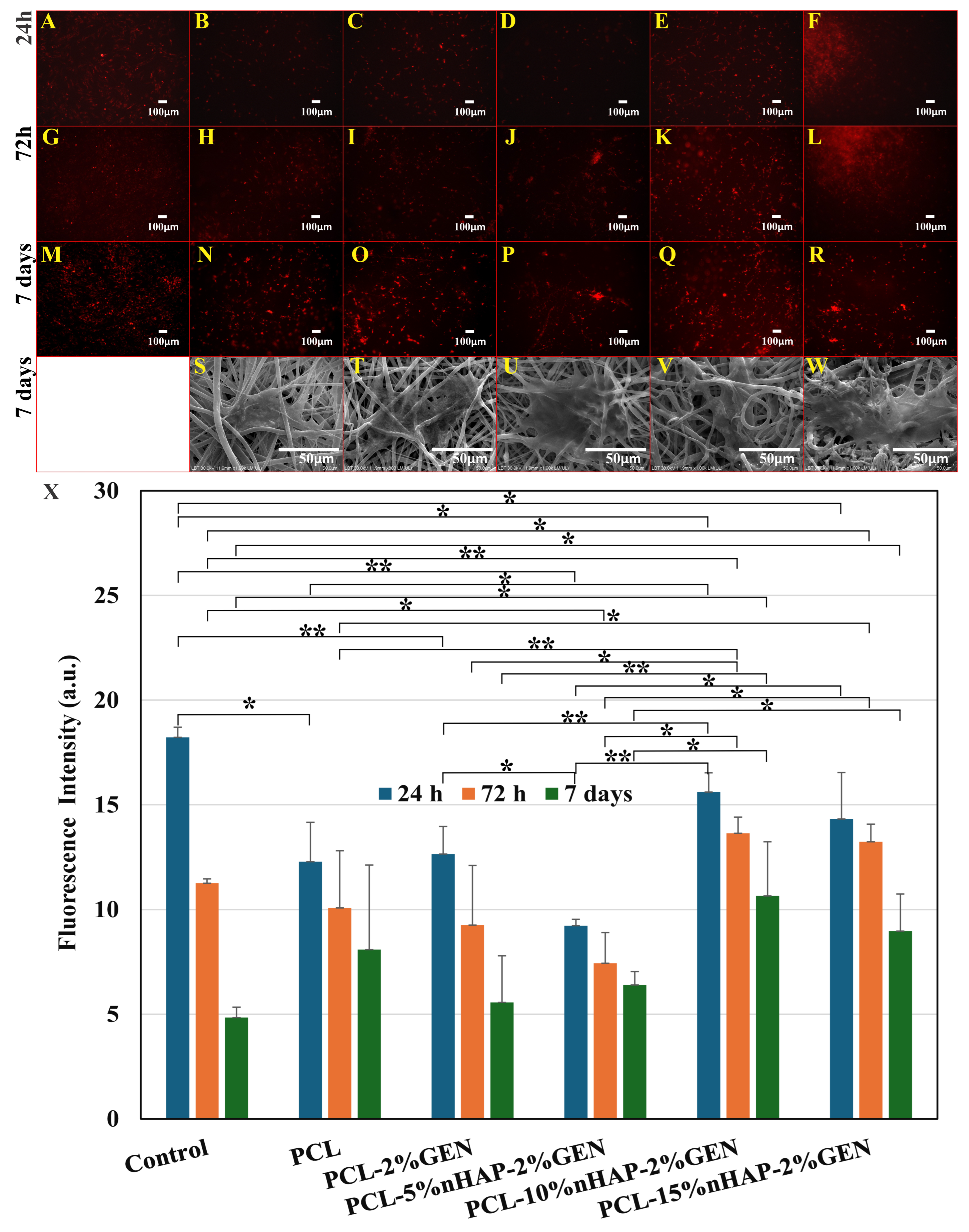Biomedicines 13 02349 g011