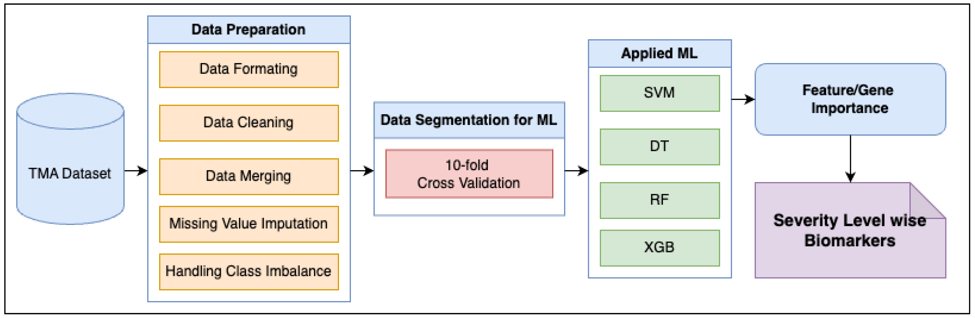Biomedicines 13 02350 g001