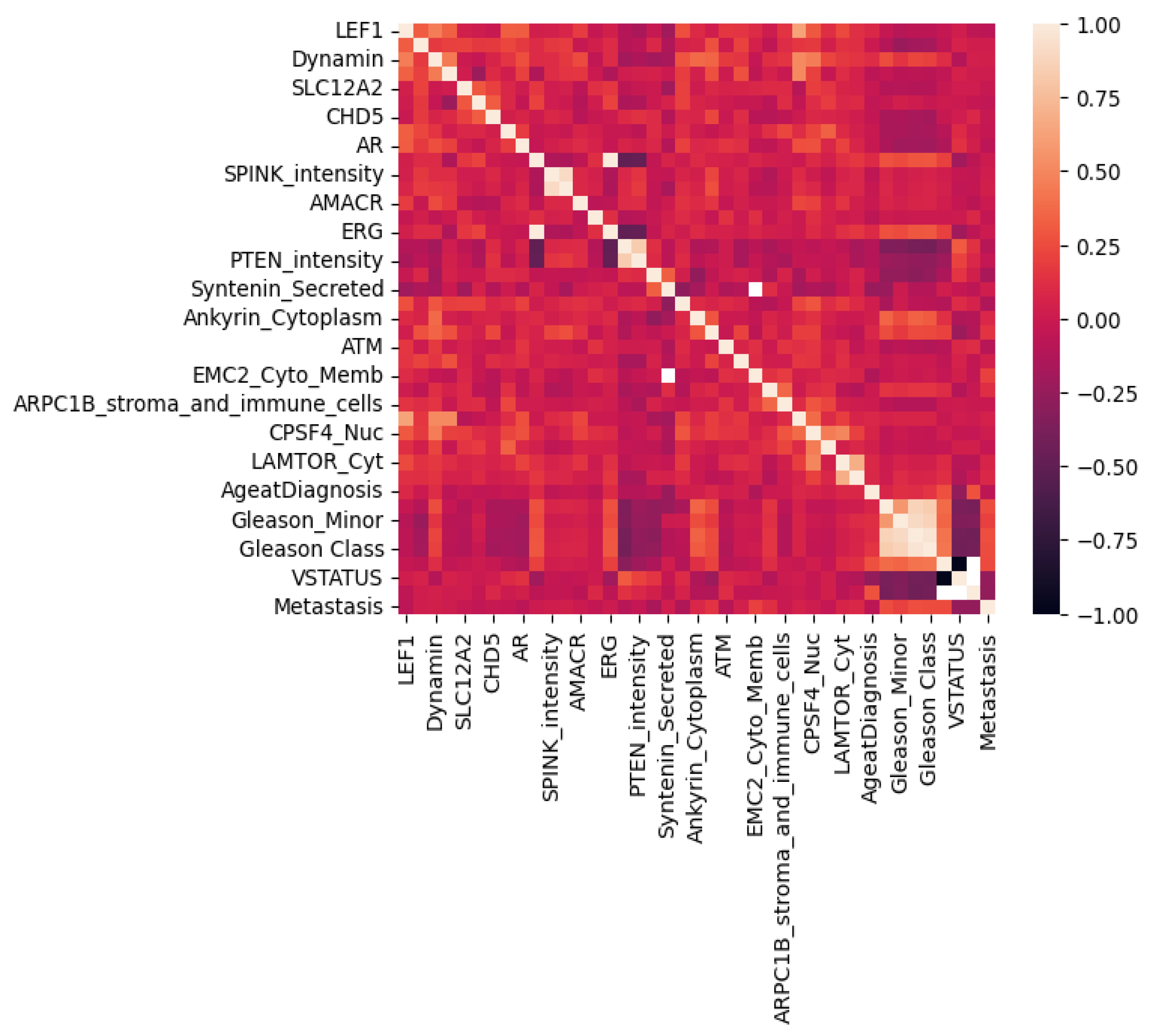 Biomedicines 13 02350 g002
