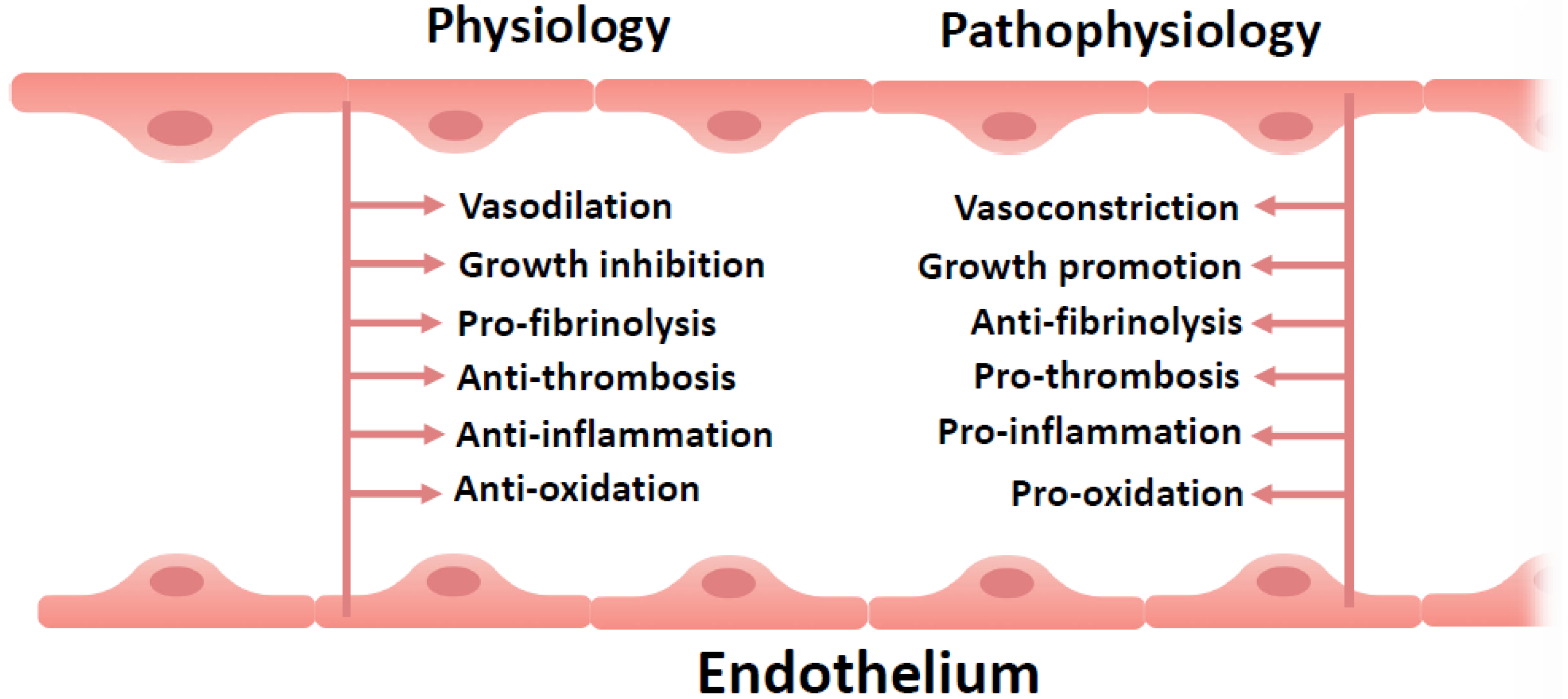Biomedicines 13 02357 g001