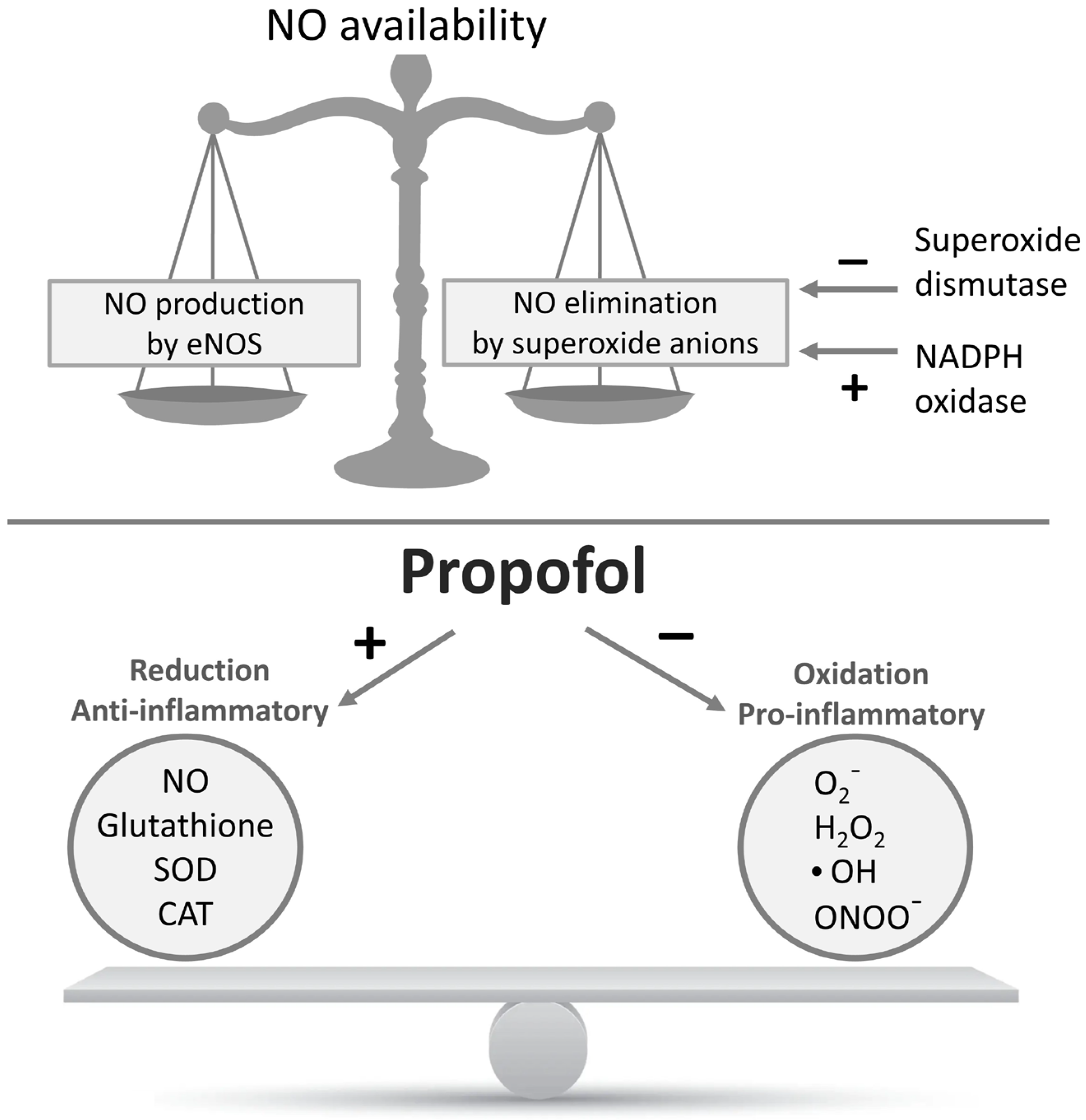 Biomedicines 13 02357 g002