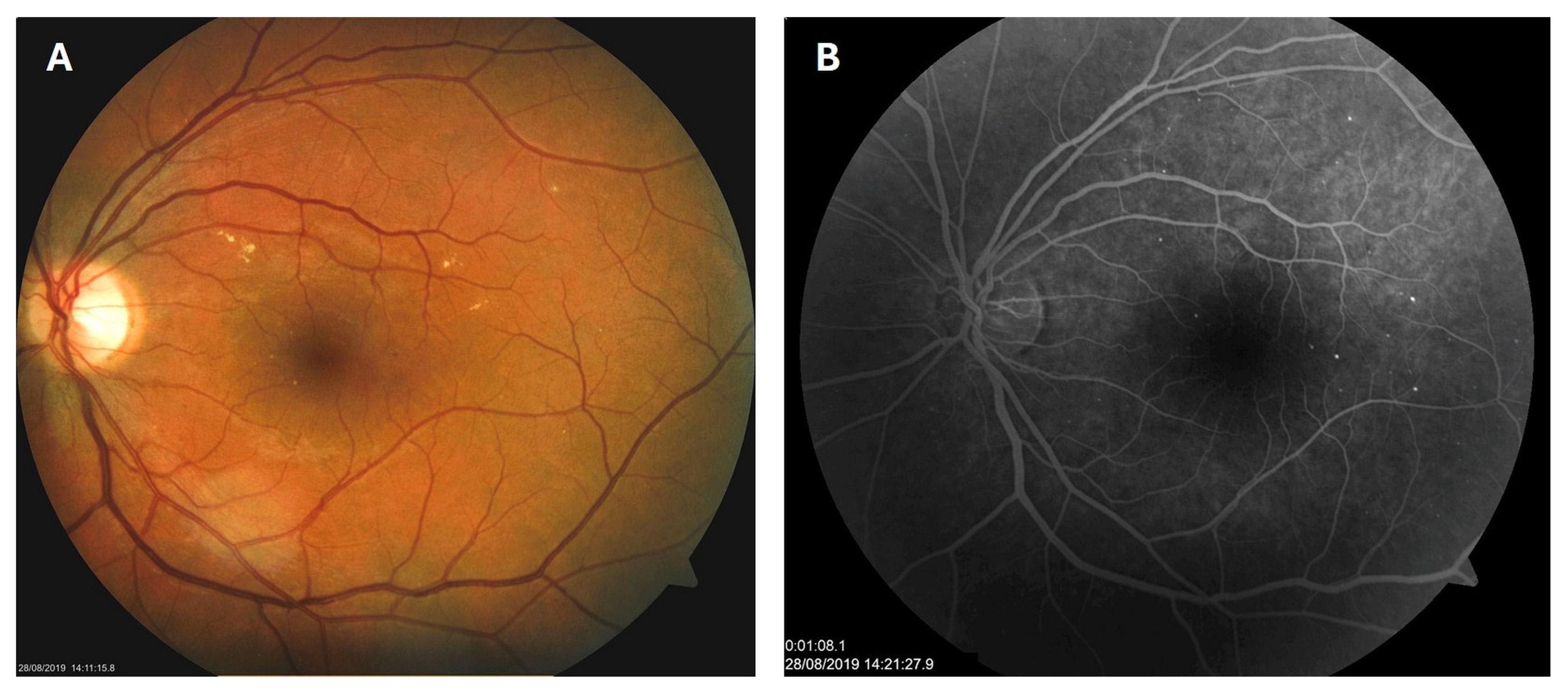 Biomedicines 13 02358 g001