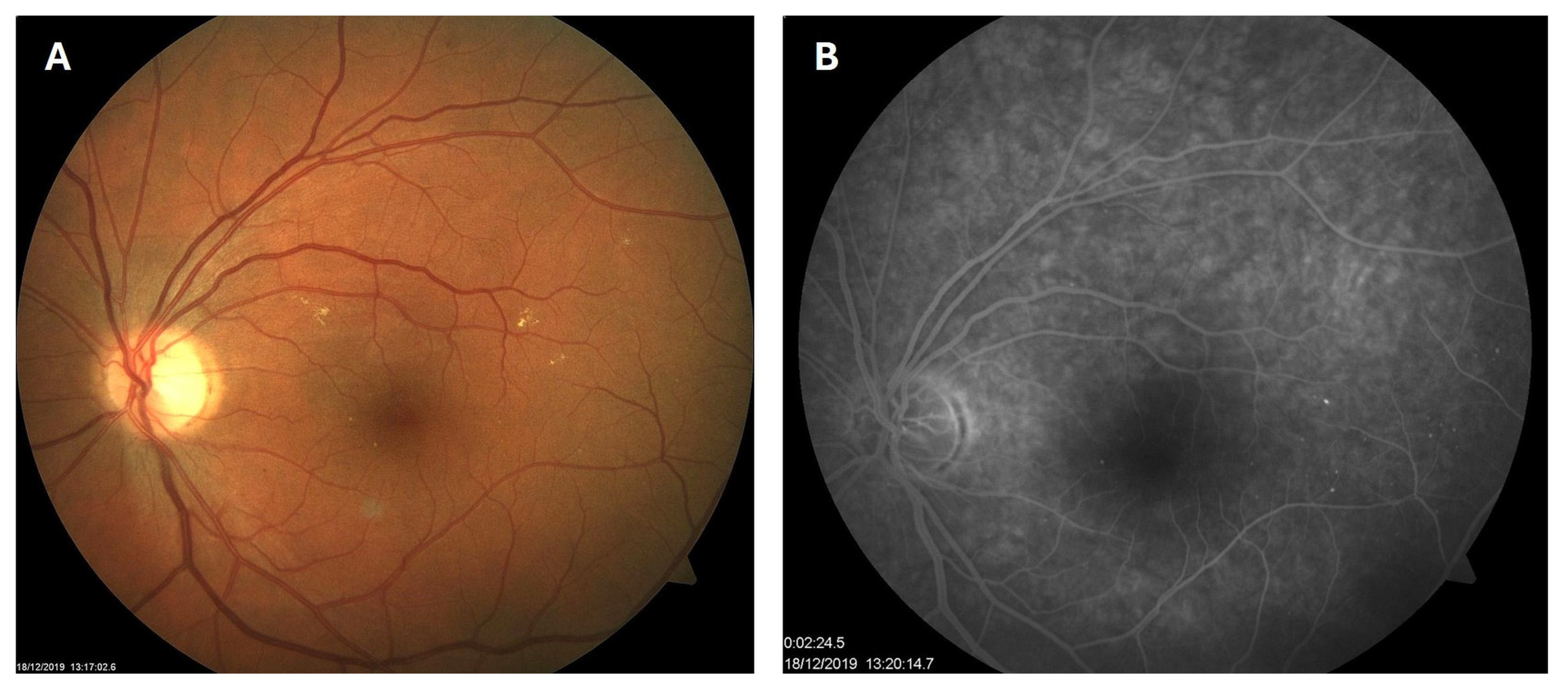 Biomedicines 13 02358 g002
