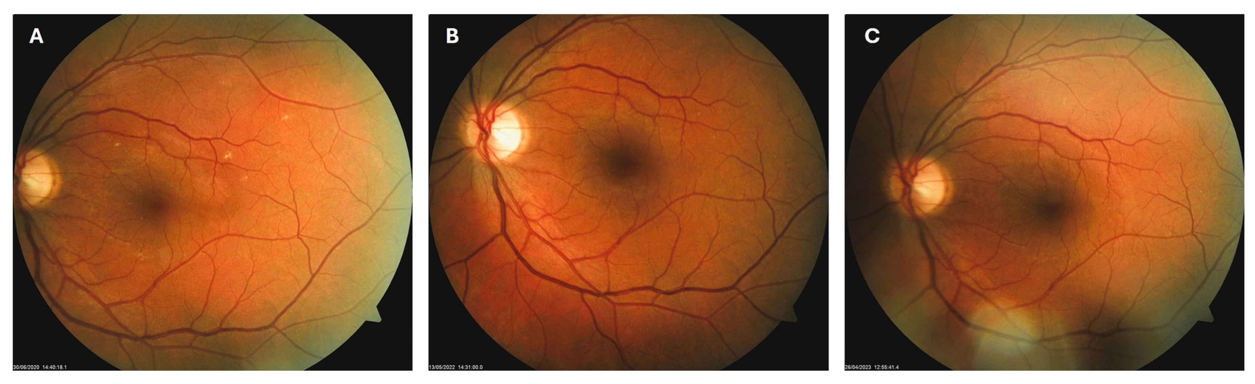 Biomedicines 13 02358 g003