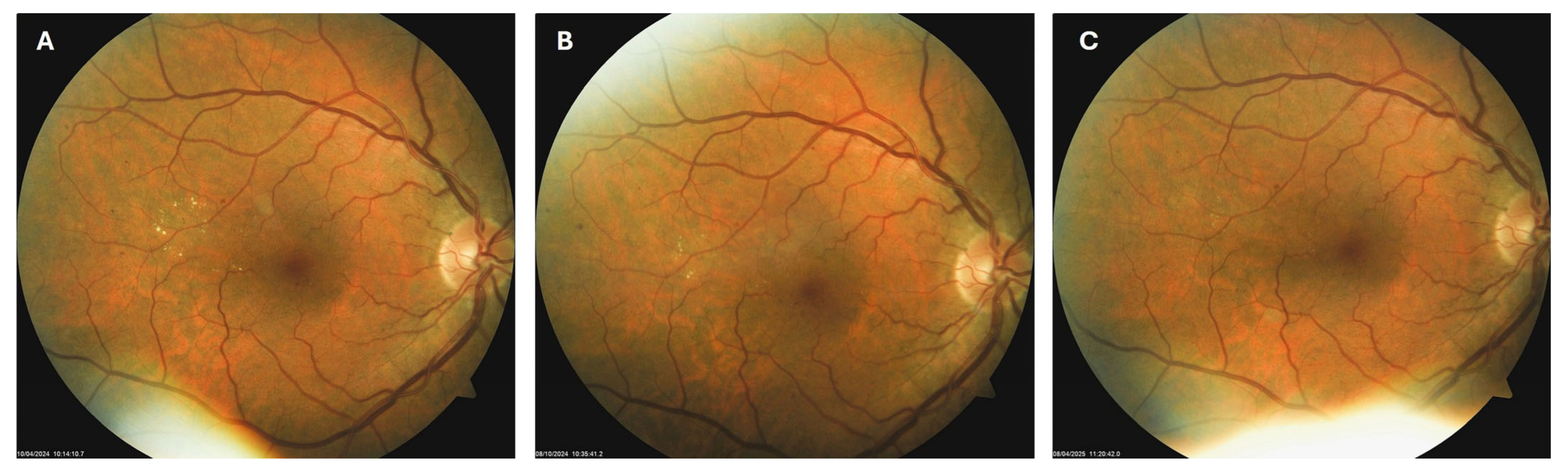 Biomedicines 13 02358 g004