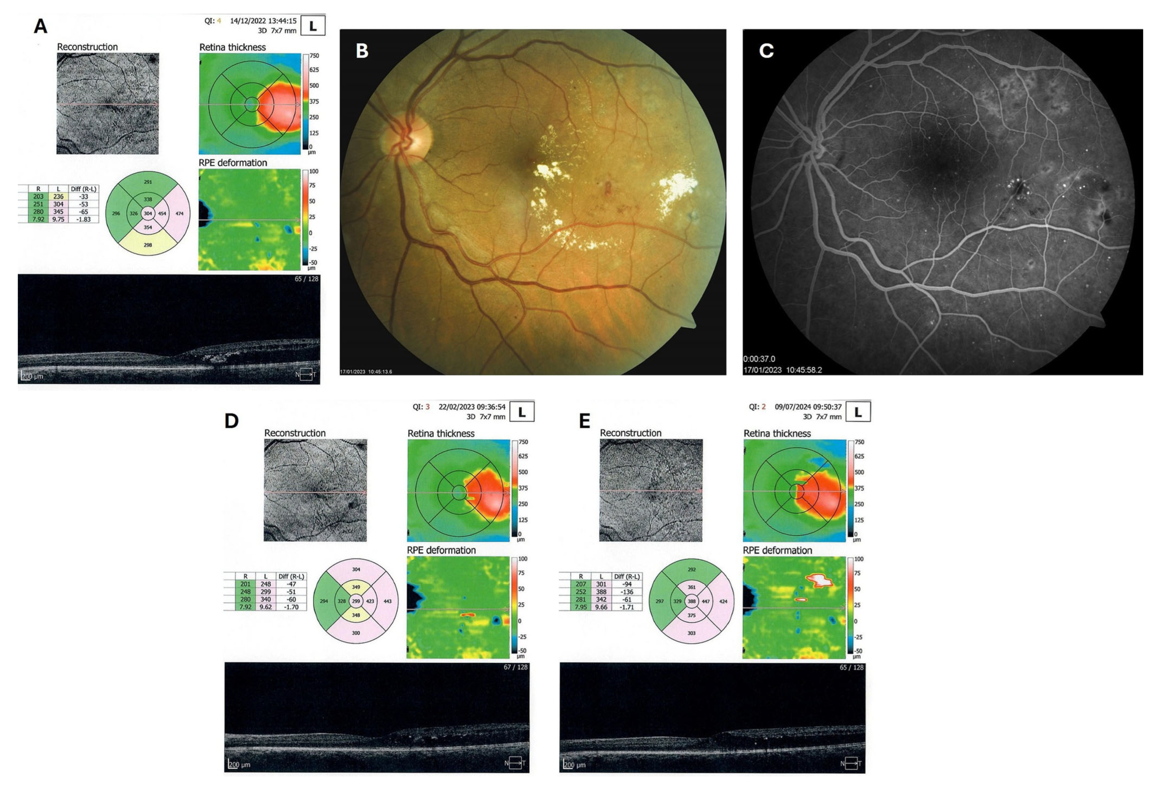 Biomedicines 13 02358 g006