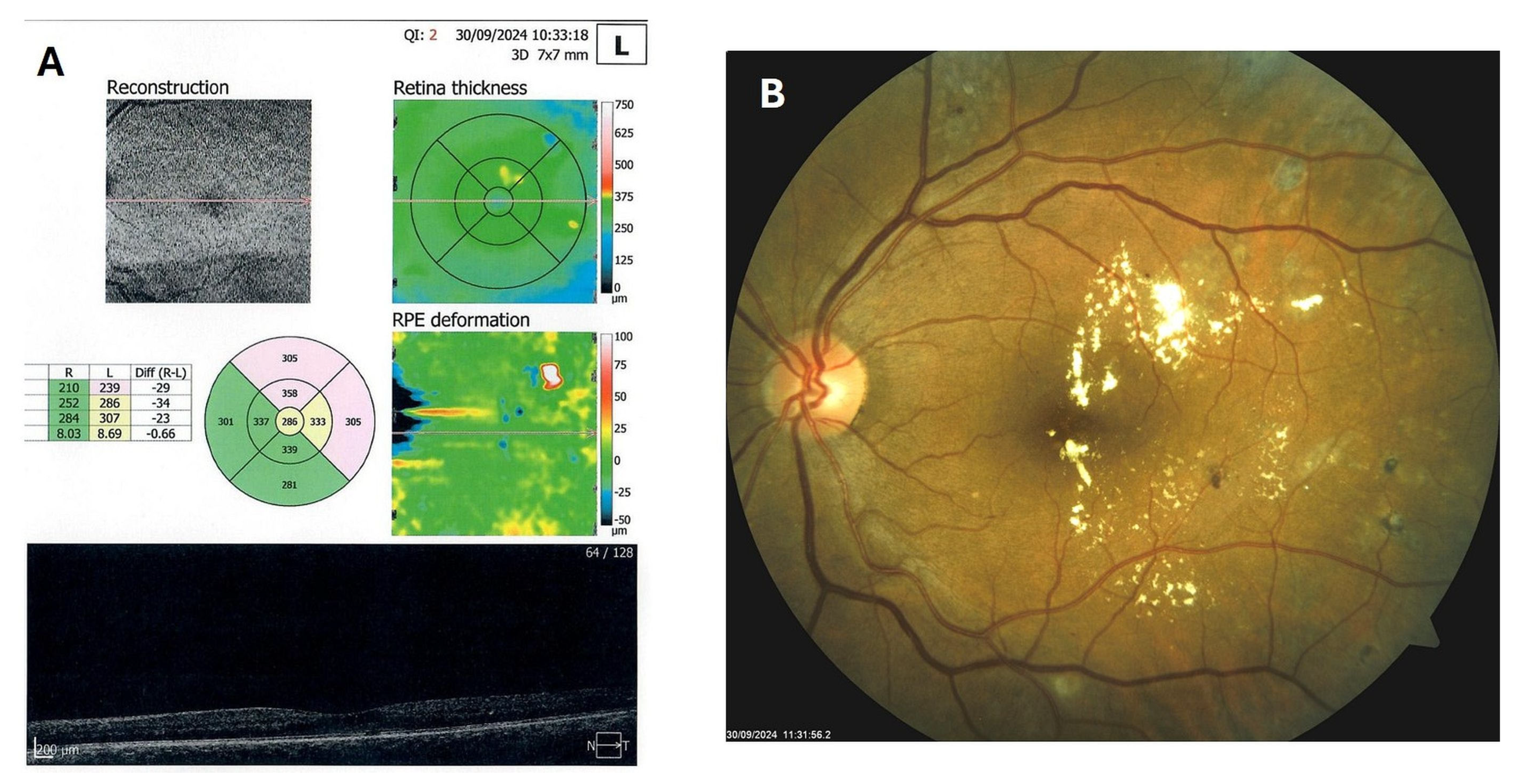 Biomedicines 13 02358 g007