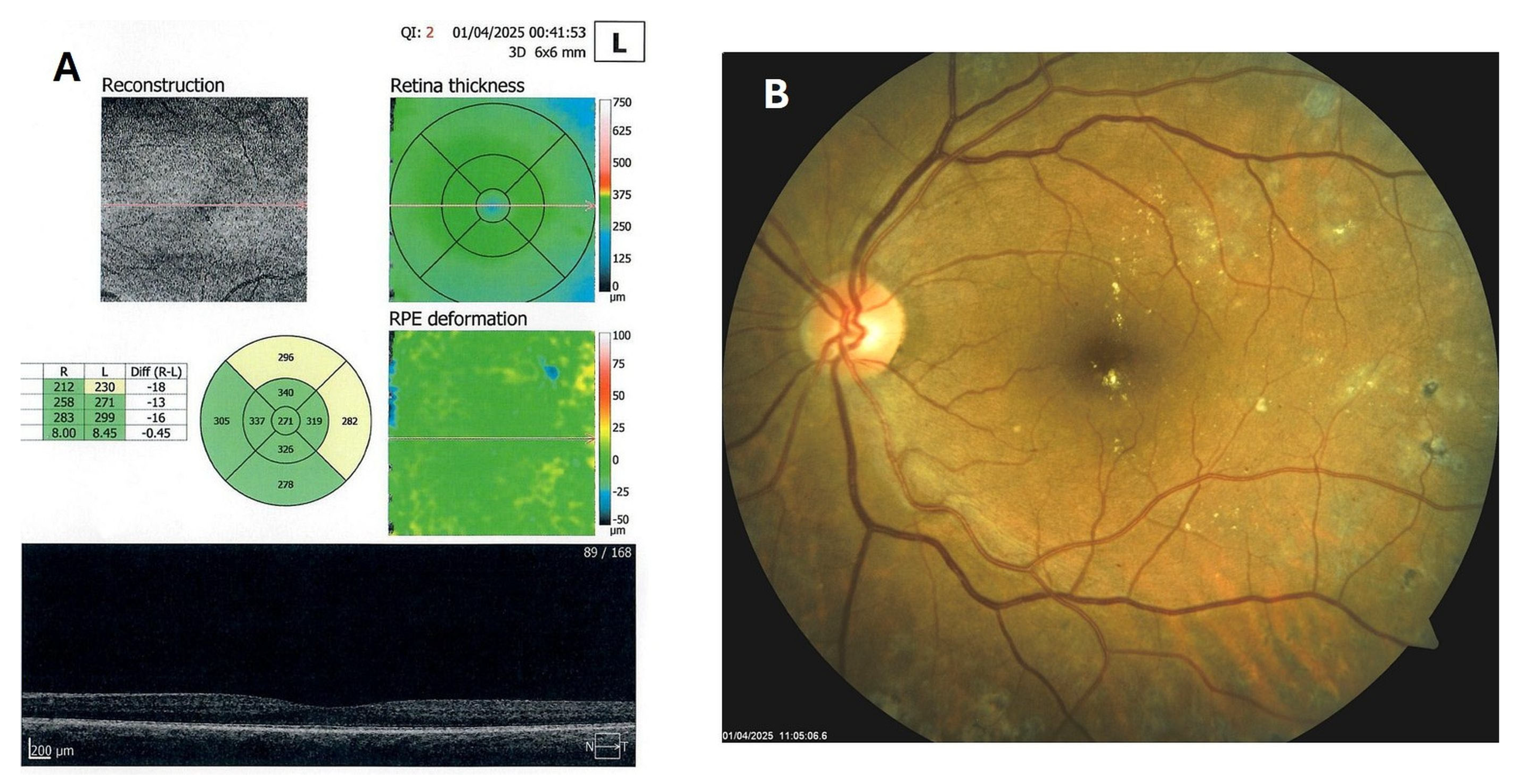 Biomedicines 13 02358 g009