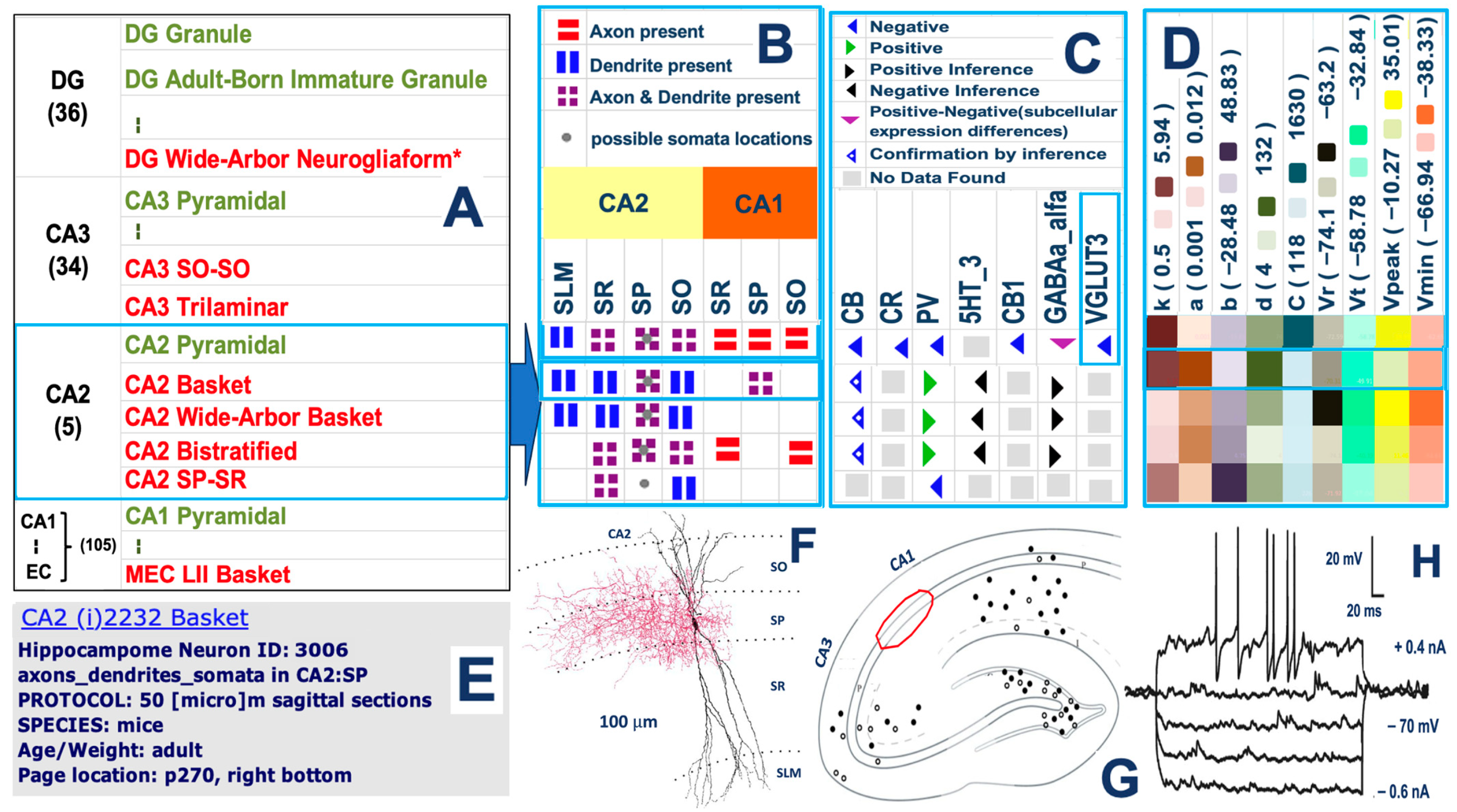 Biomedicines 13 02363 g001