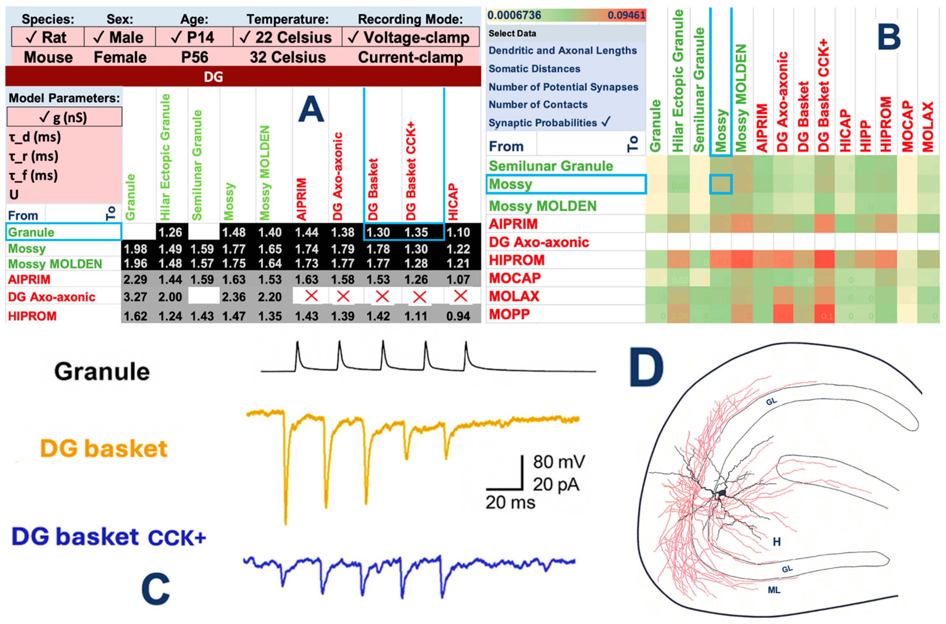 Biomedicines 13 02363 g002