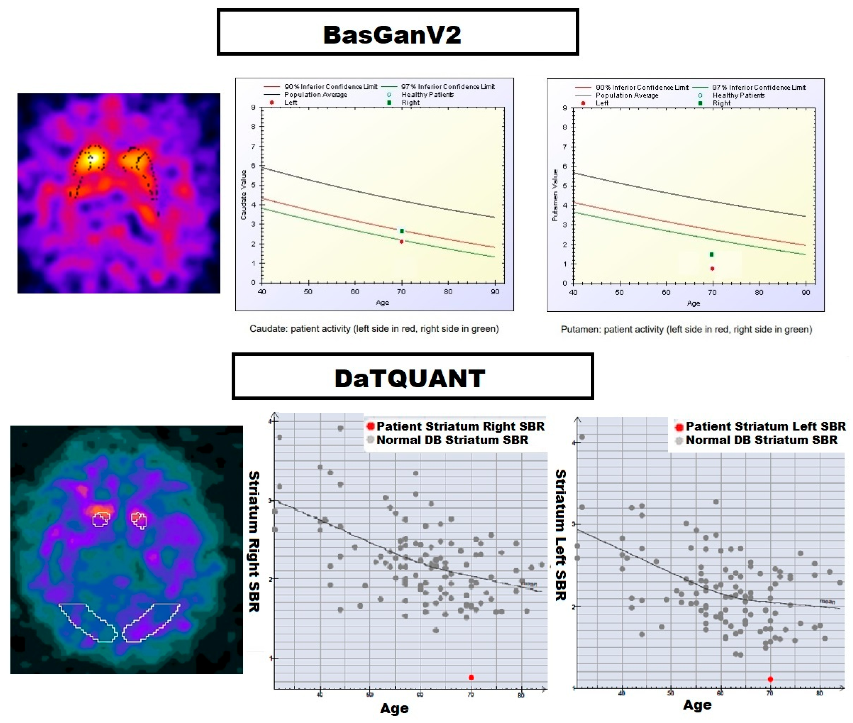 Biomedicines 13 02367 g001