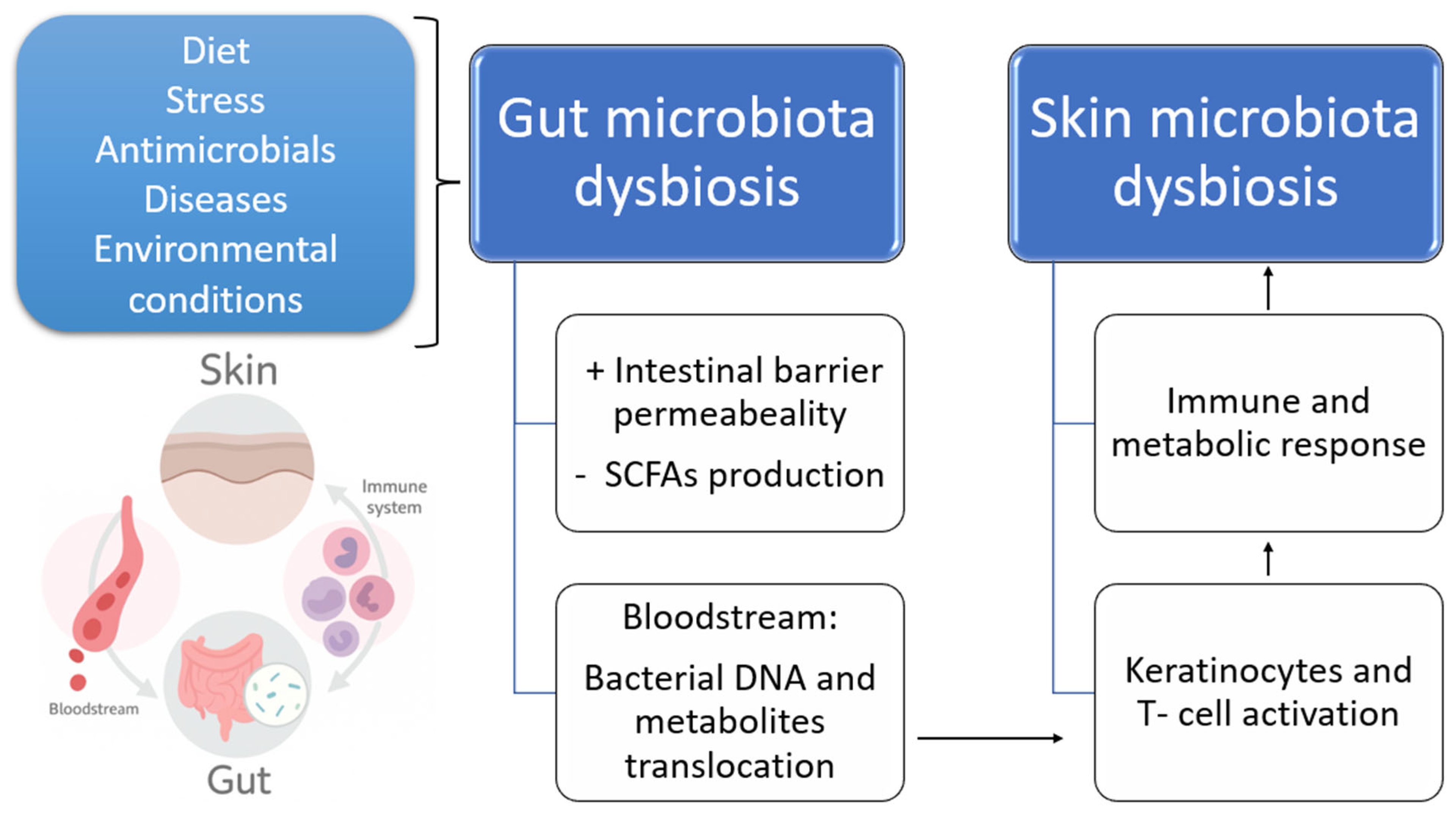 Biomedicines 13 02372 g001