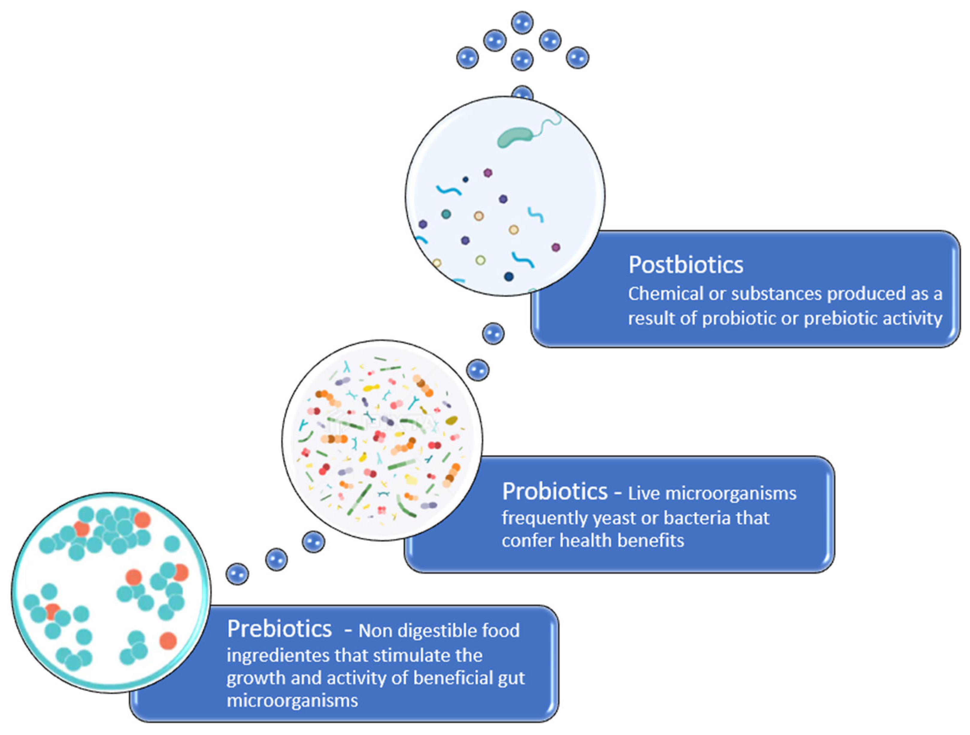 Biomedicines 13 02372 g002