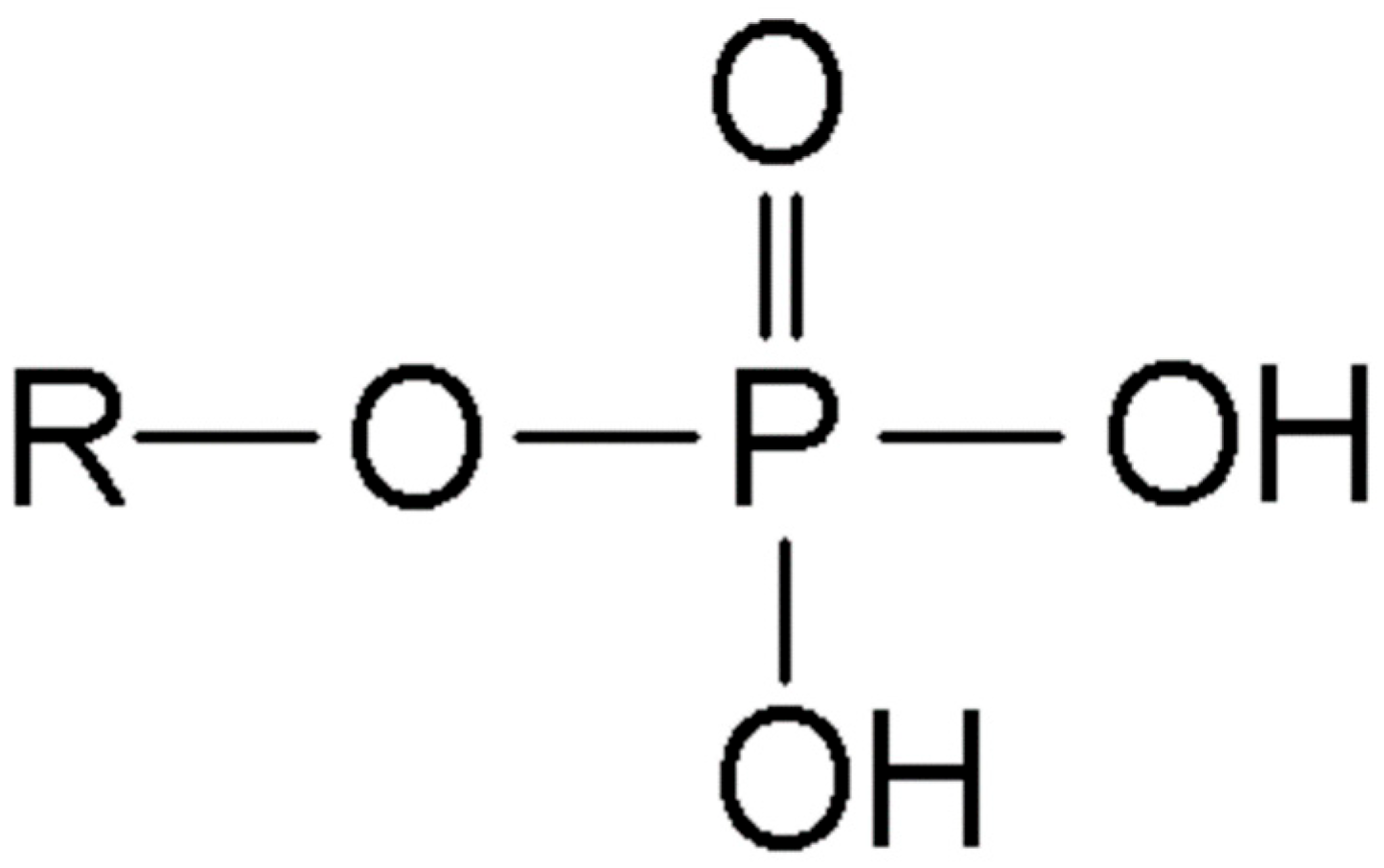 Biomedicines 13 02382 g001
