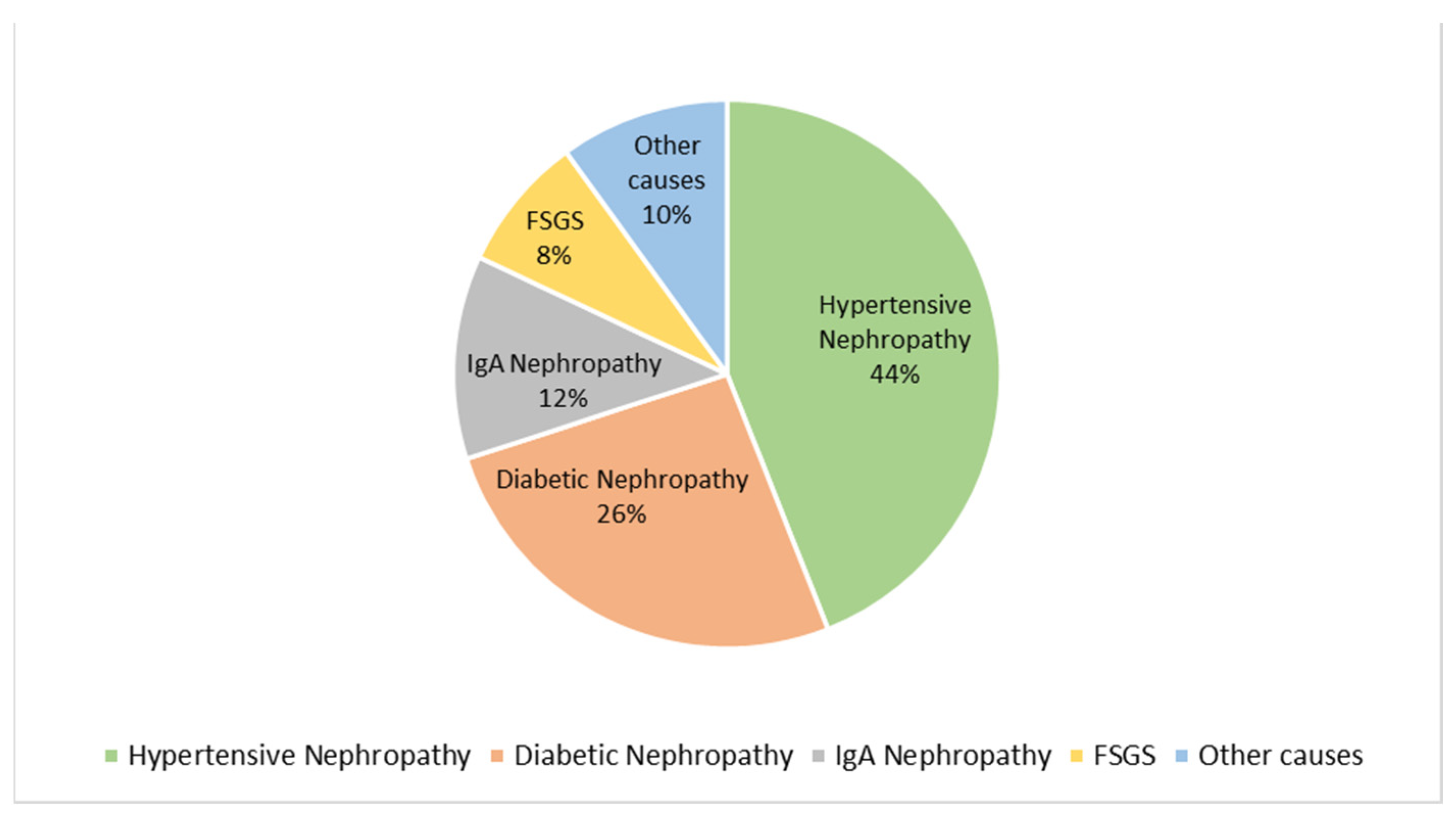 Biomedicines 13 02387 g003