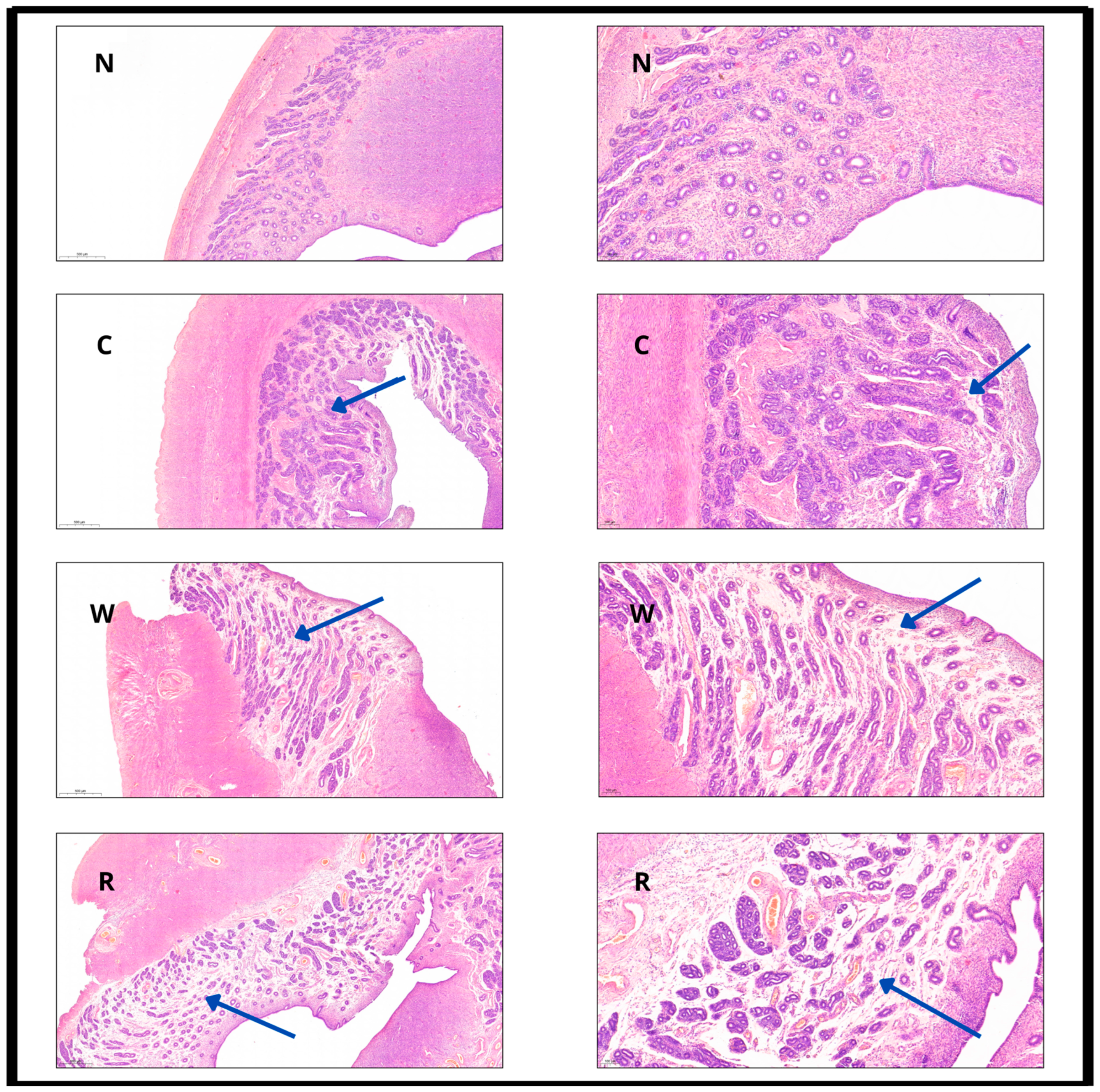 Biomedicines 13 02388 g002