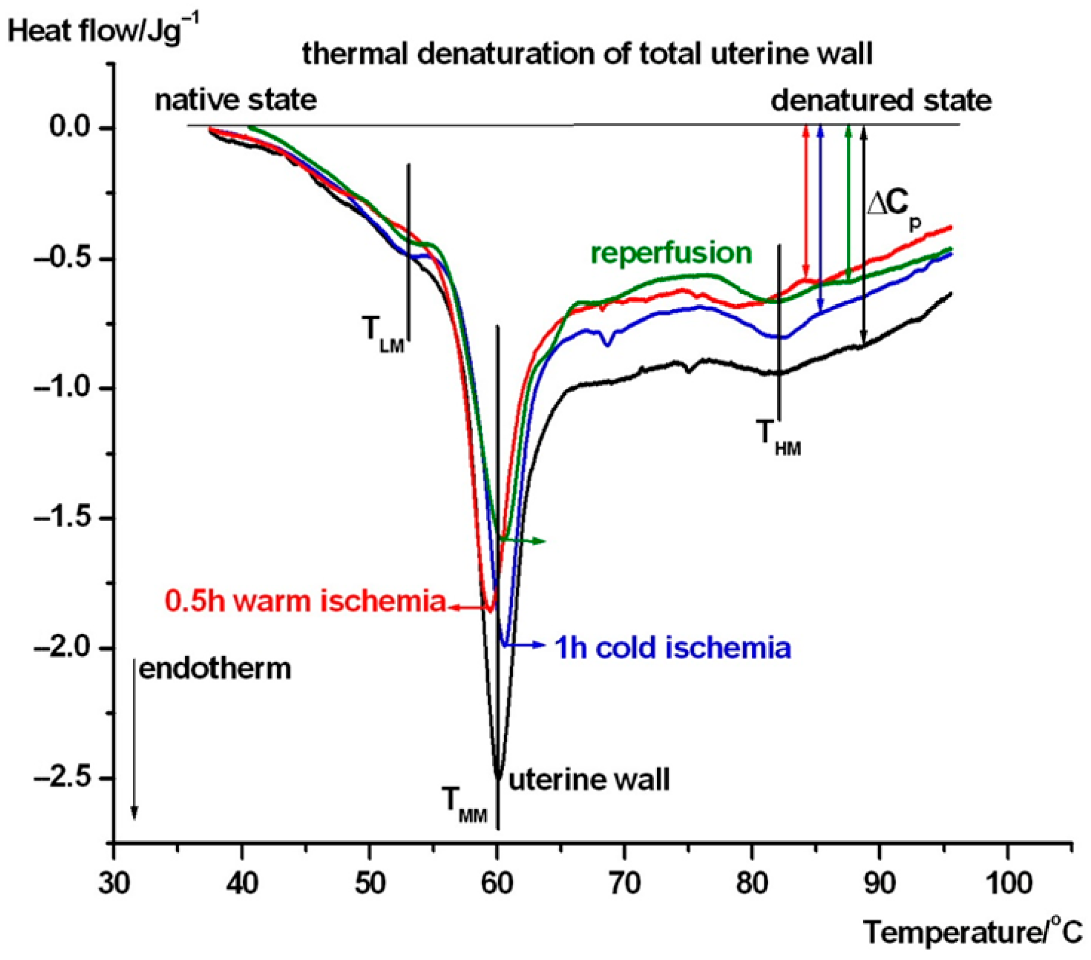 Biomedicines 13 02388 g003