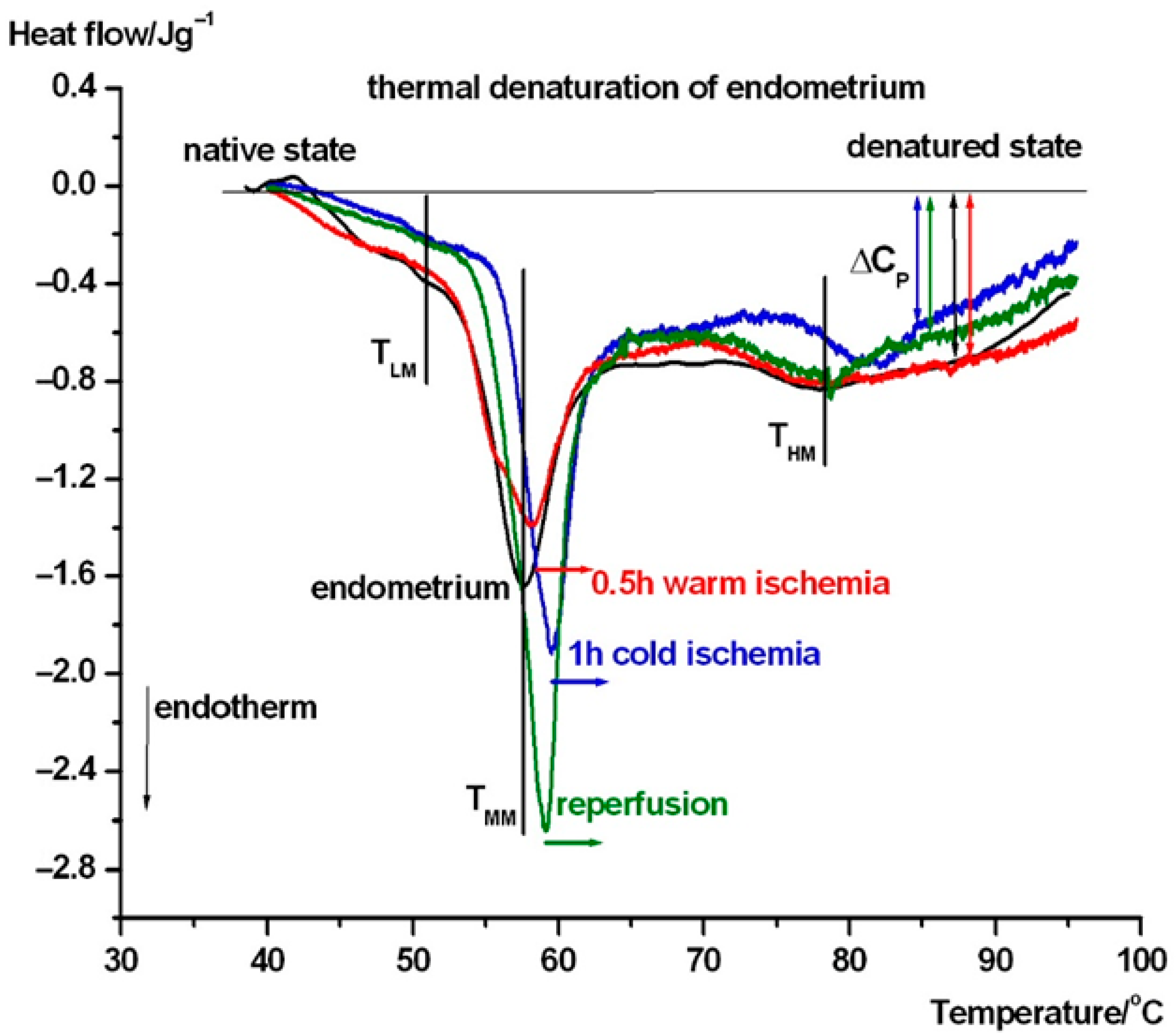 Biomedicines 13 02388 g004