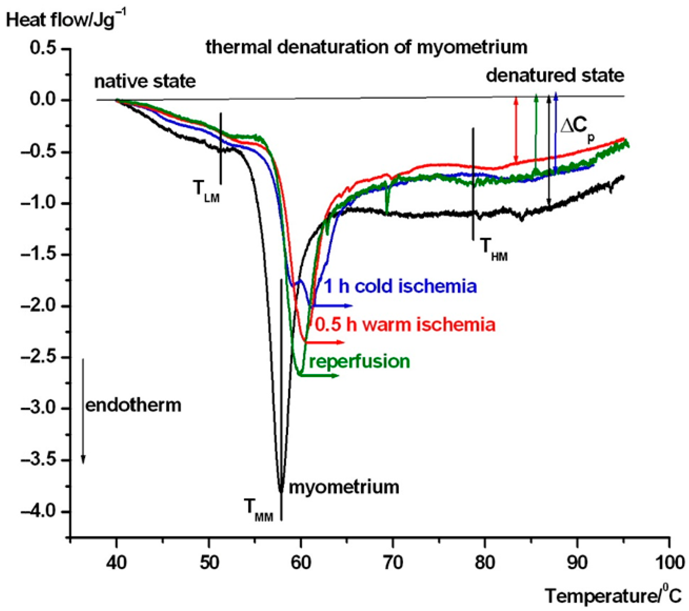 Biomedicines 13 02388 g005