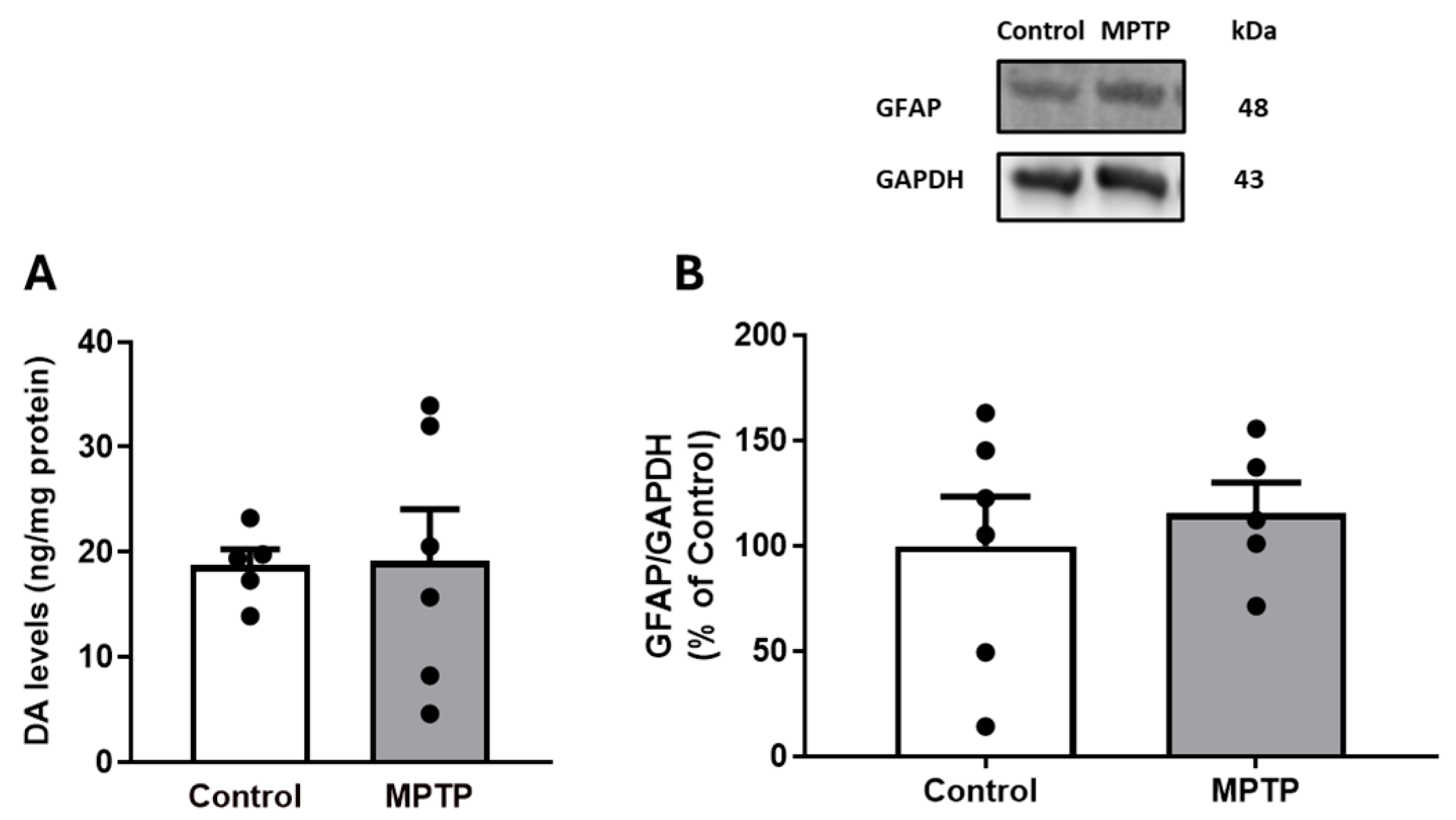 Biomedicines 13 02400 g001