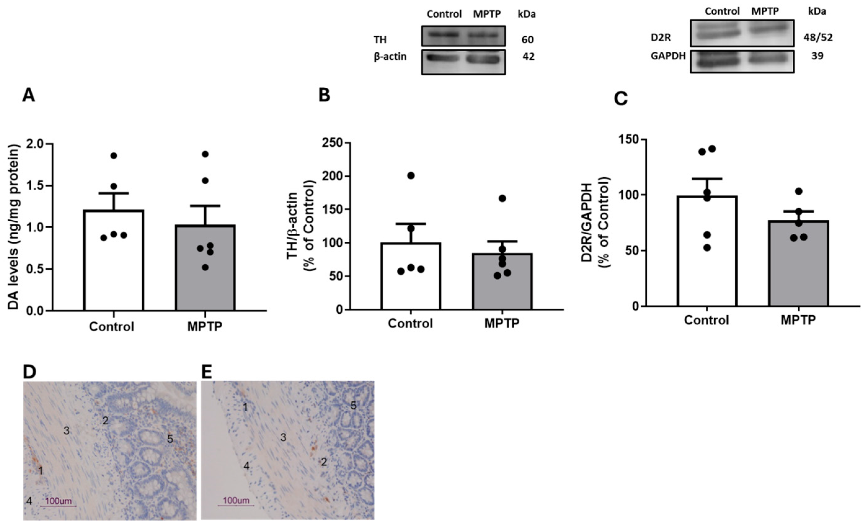 Biomedicines 13 02400 g004