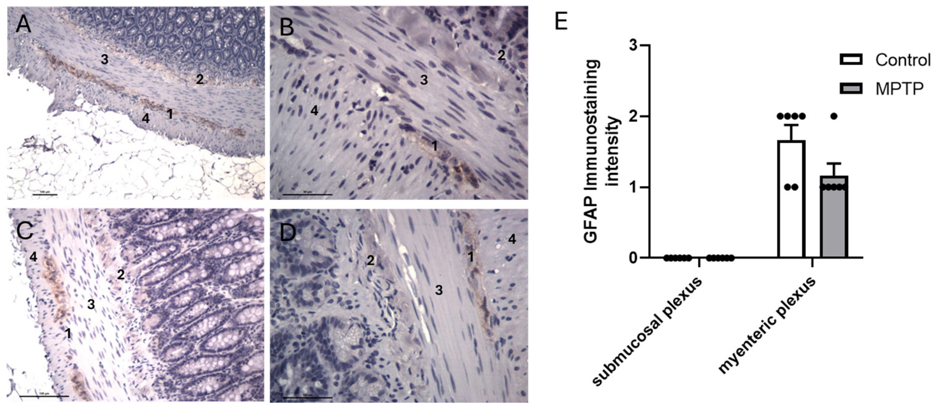 Biomedicines 13 02400 g006