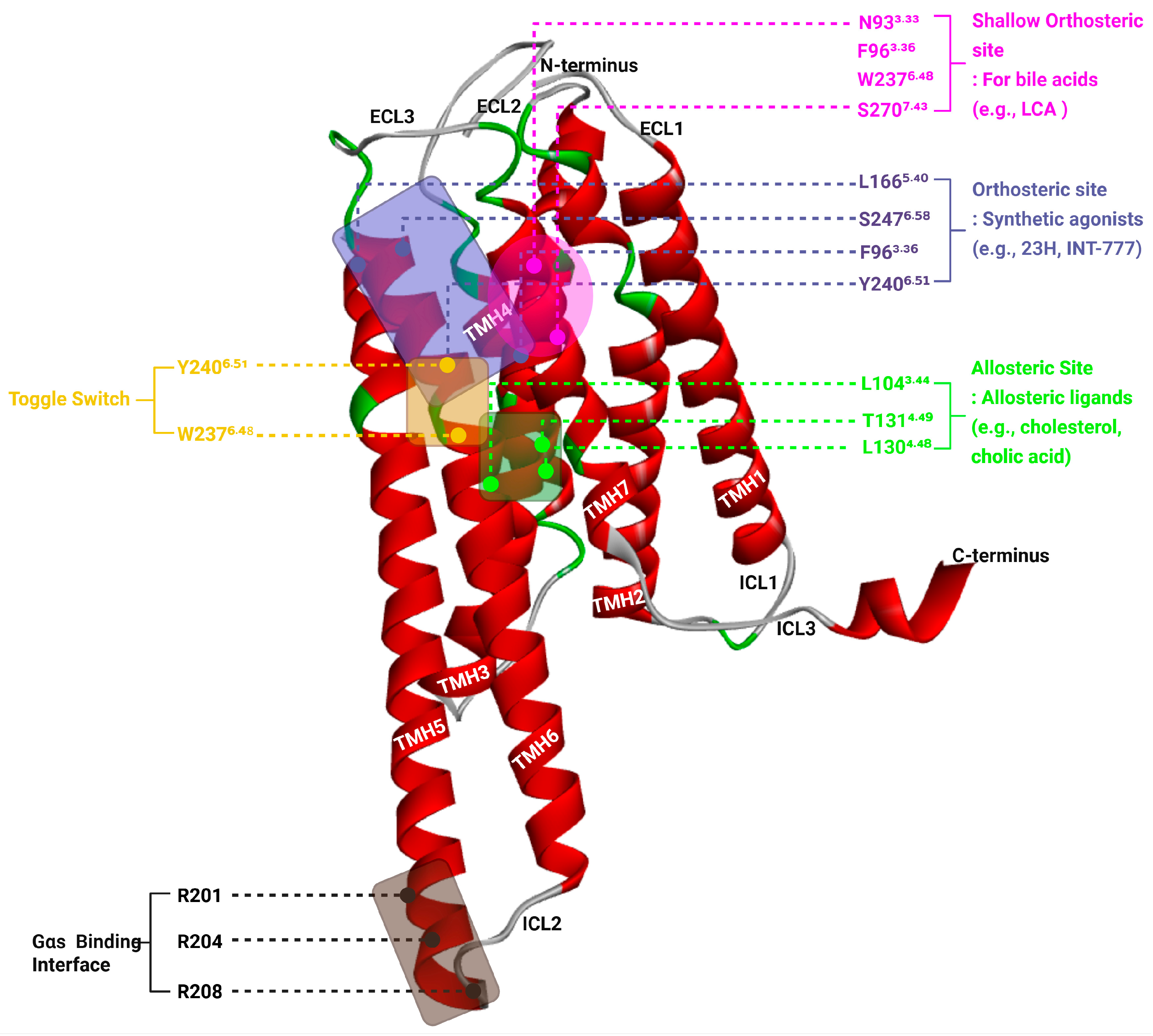 Biomedicines 13 02405 g002