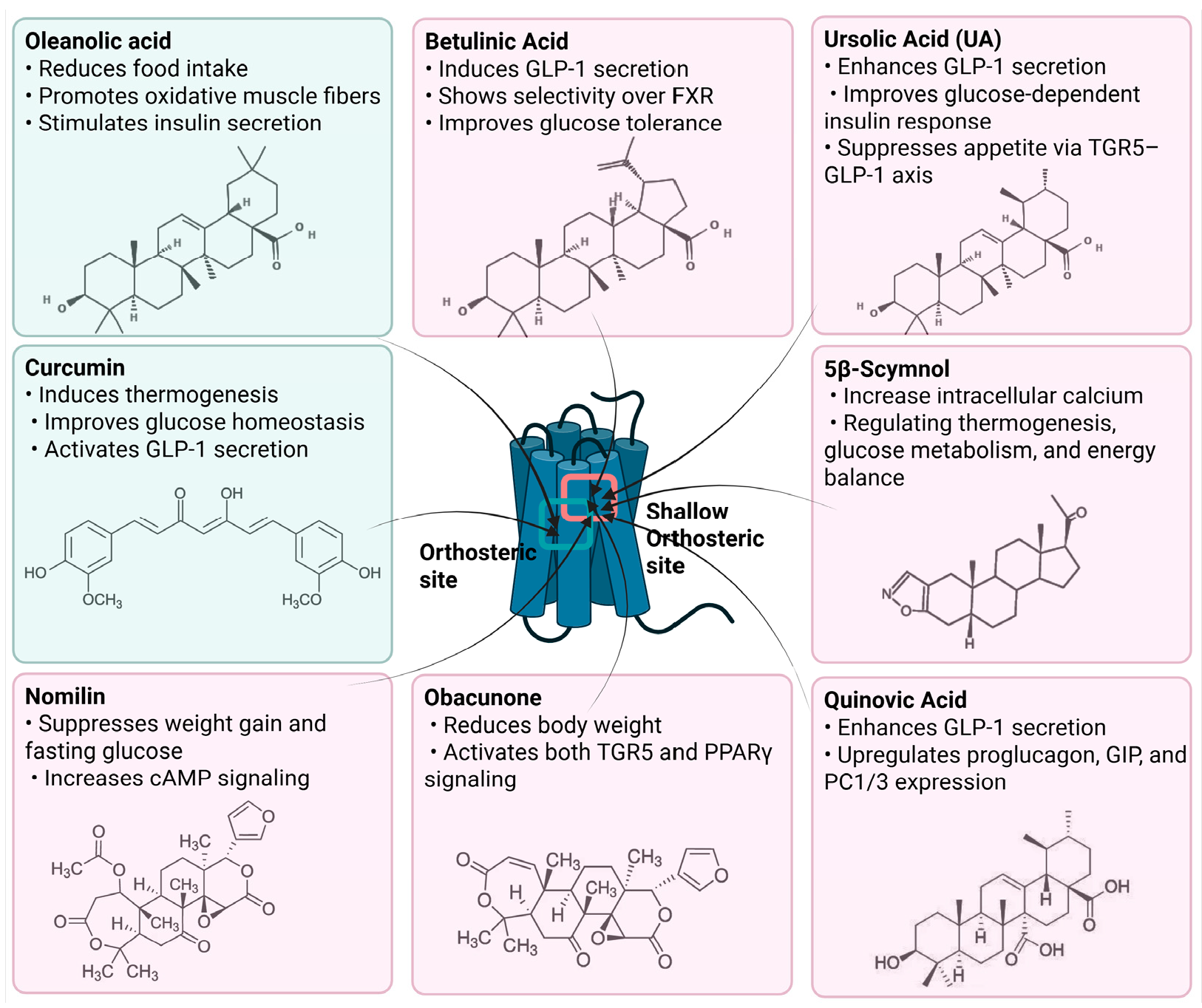 Biomedicines 13 02405 g003