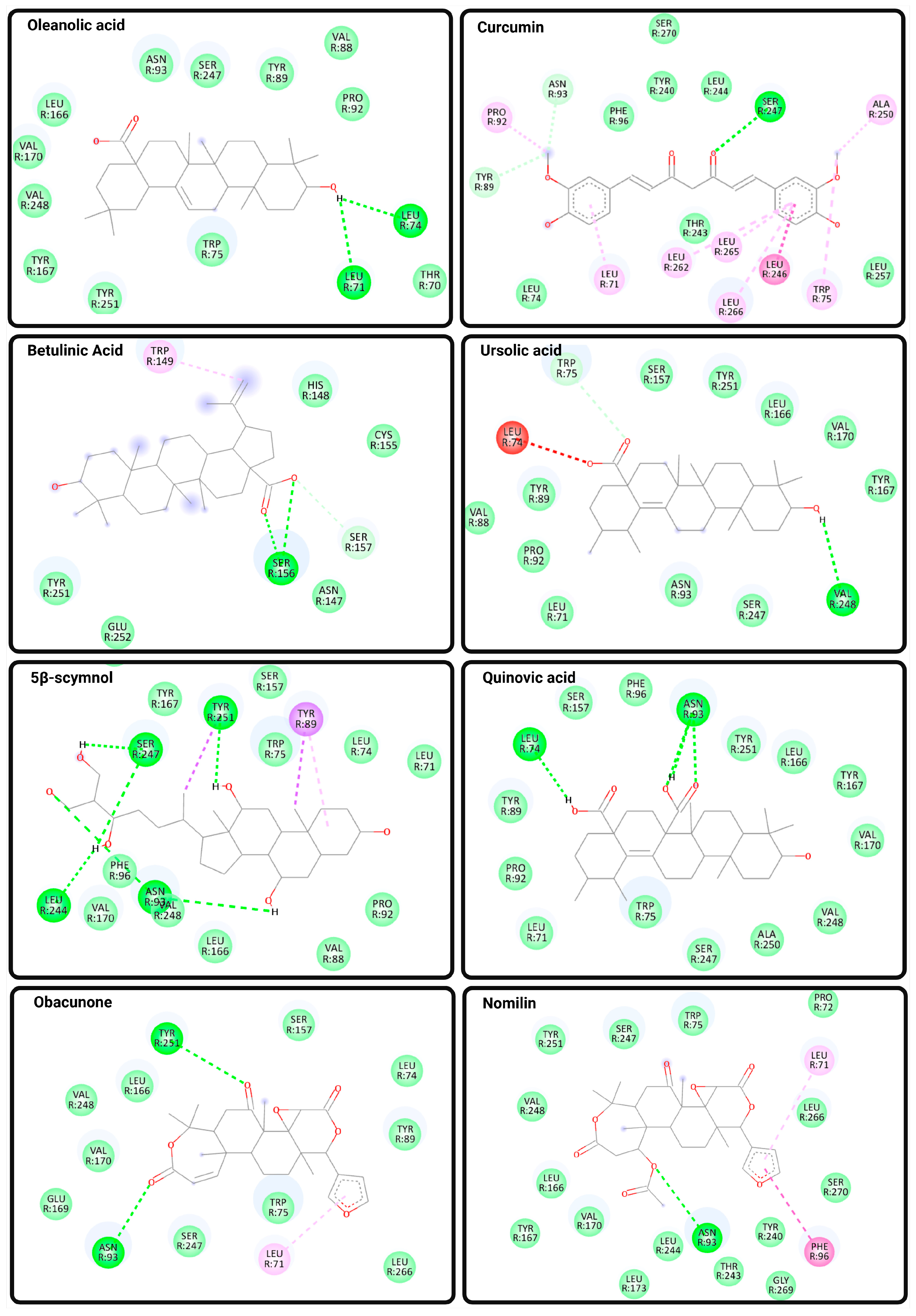 Biomedicines 13 02405 g004