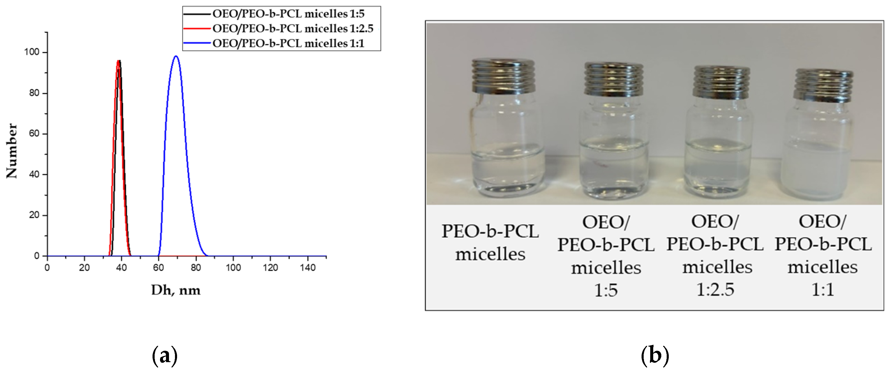 Biomedicines 13 02417 g003 Biomedicines 13 02417 g003