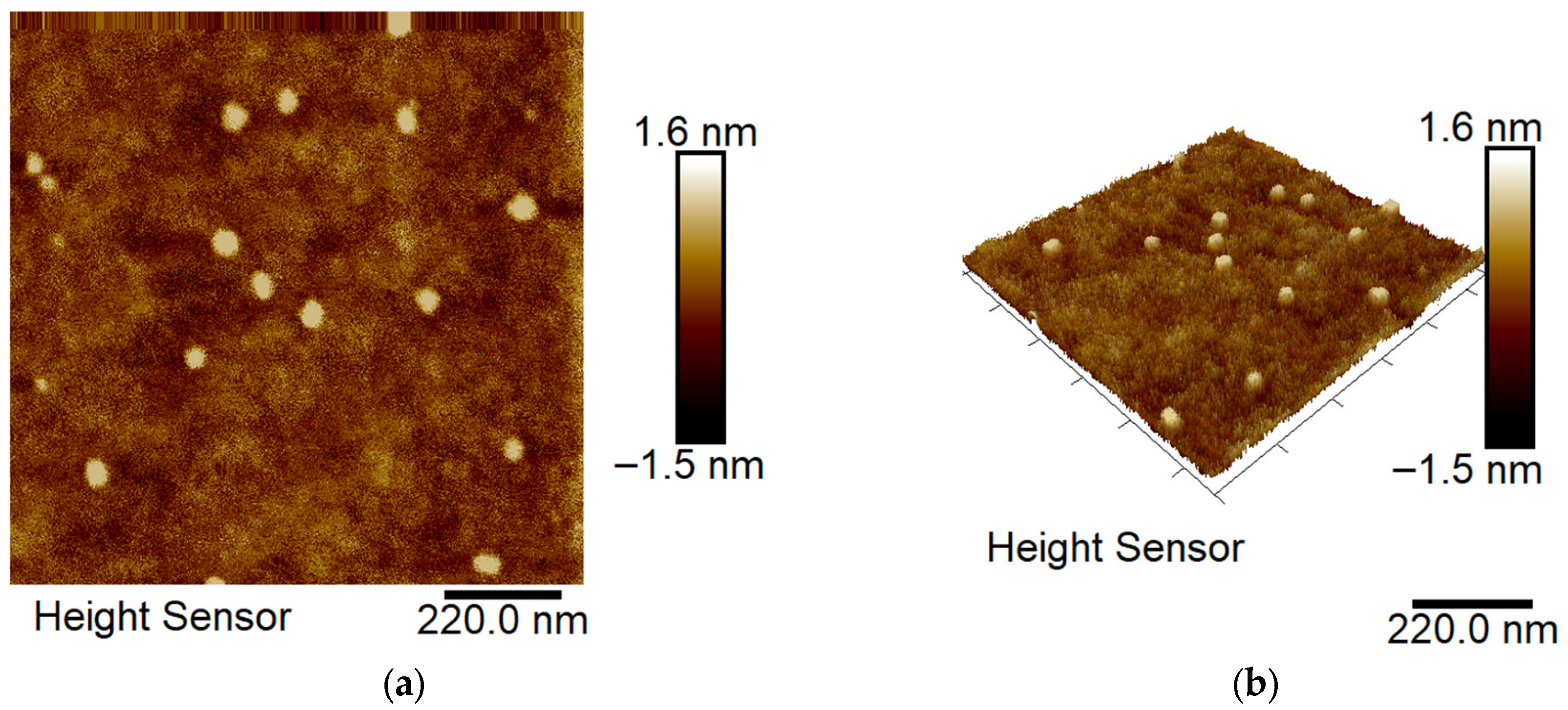 Biomedicines 13 02417 g004 Biomedicines 13 02417 g004