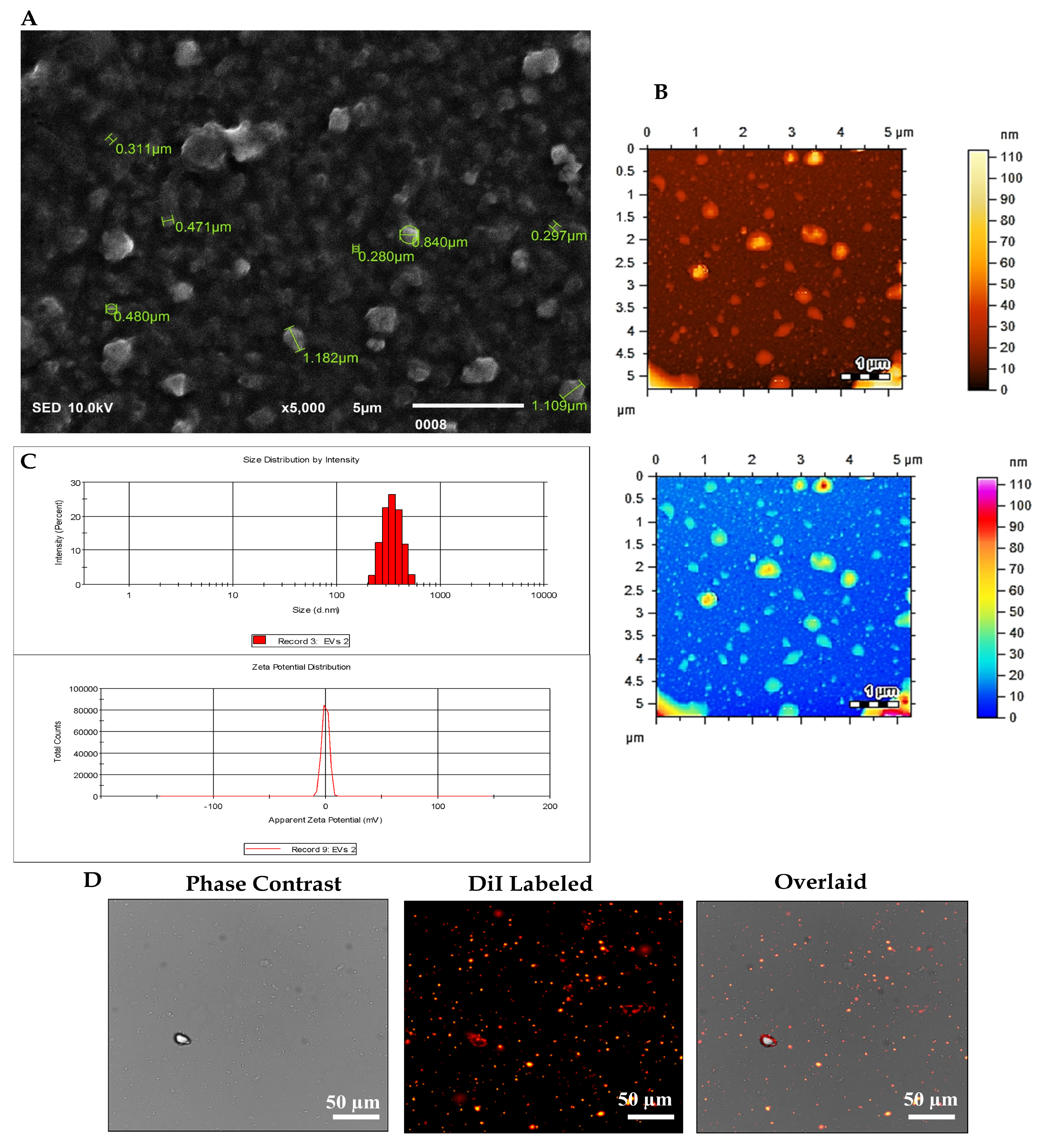 Biomedicines 13 02420 g001 Biomedicines 13 02420 g001